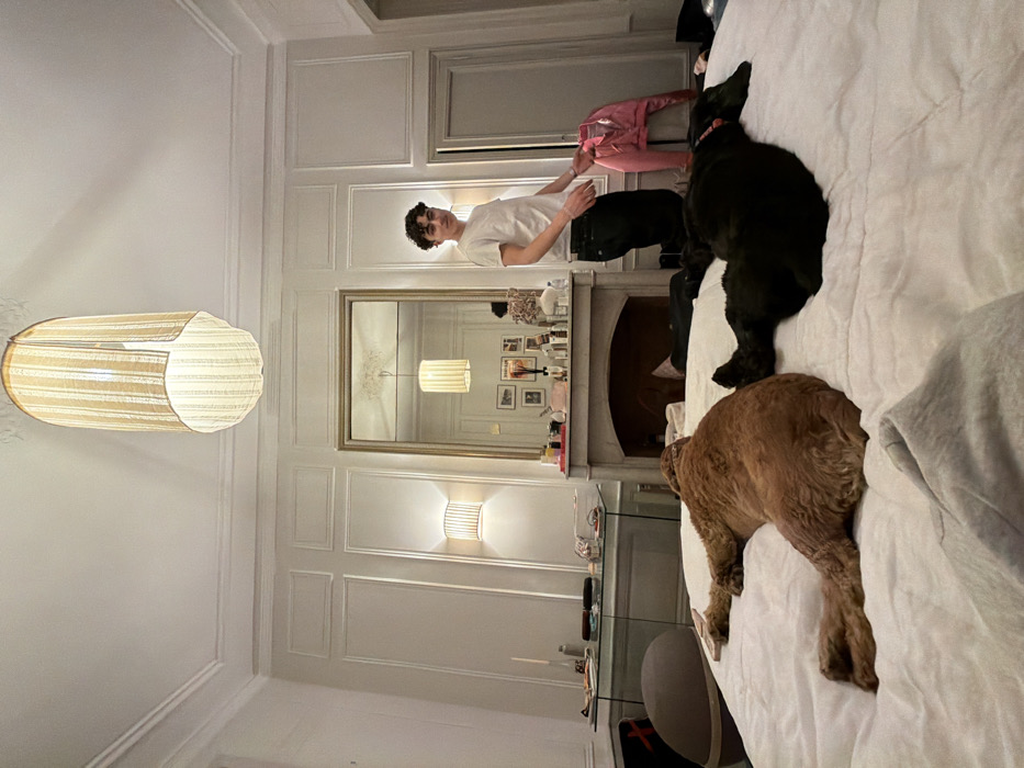 The image depicts an indoor scene within a well-appointed bedroom of a residential property in Paris, France. A young male, appearing in his late teens or early twenties with dark, curly hair, stands on the right side of the frame, wearing a white t-shirt and dark trousers. He faces the camera with a neutral expression.
Two dogs are resting on a large, white-linened bed in the foreground. The dog on the left is a medium-to-large-sized, light brown animal with curly fur, lying on its stomach with its head turned to the left. The dog on the right is a medium-sized, black animal with shorter fur, lying on its back with its limbs splayed.
The room features high ceilings with ornate white molding and light-colored walls adorned with classic paneling. A large, rectangular mirror with a gold frame hangs centrally above a light-colored, decorative fireplace mantel. The mantelpiece is cluttered with various small bottles, jars, and decorative items. To the left of the fireplace, a transparent console table holds additional objects. Illumination is provided by a large, elongated, striped cylindrical pendant light fixture suspended from the ceiling, and two matching cylindrical wall sconces mounted on the wall to the left of the fireplace. A bright pink jacket is hanging on a fixture to the right of the standing male. The environment is consistent with a private residential interior.