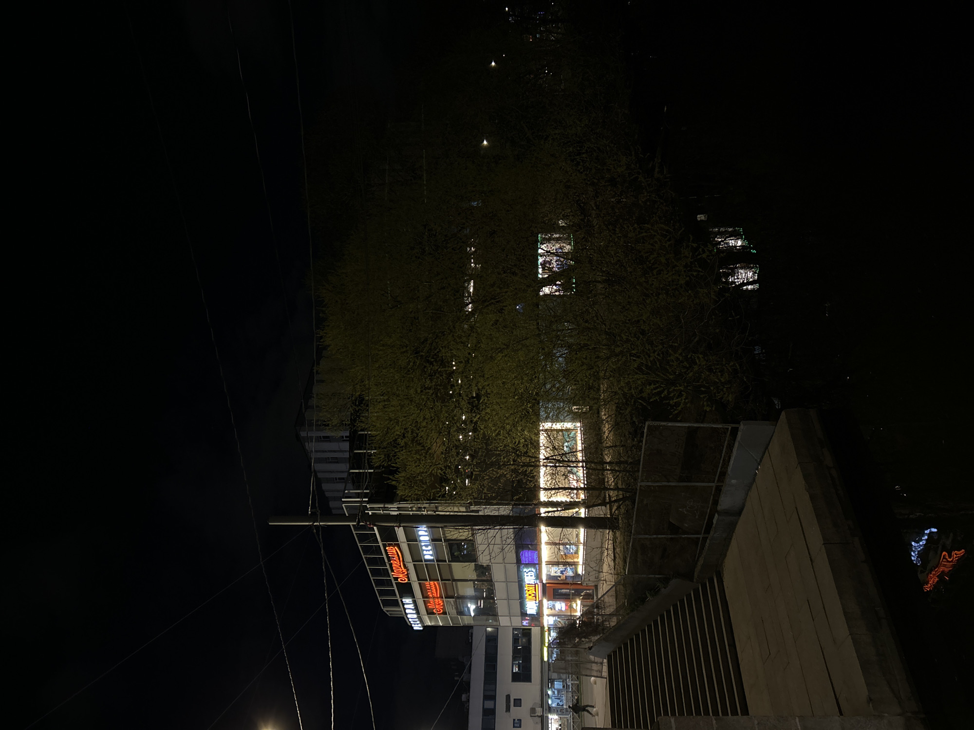 This night photograph captures a vibrant urban scene in Saint Petersburg, Russia. The image, oriented horizontally, depicts buildings, trees, and a body of water illuminated by artificial lights.
In the upper half of the frame, a dark night sky is visible, traversed by multiple power lines that extend diagonally across the view. Sparse, leafy trees, possibly indicating early spring or late autumn, partially obscure distant buildings whose windows emit faint lights.
The lower half of the image is dominated by the artificial illumination of commercial establishments. To the left, a multi-story building features several glowing signs in Cyrillic script. Prominently, a red sign reads "РЕСТОРАН" (RESTAURANT), with another sign above it showing "МОРЩИНЫ" (MORSCHINY). A smaller red sign below indicates "Магазин" (MAGAZIN - shop). Adjacent to this, another building displays a bright, vertical sign that reads "ЧАЙНАЯ" (CHAYNAYA - Teahouse), along with other colorful illuminated advertisements, including one with "Бирюза" (Biryuza - turquoise).
In the immediate foreground, a concrete wall and metal railings separate the viewer from a dark body of water, likely a canal or river. This water beautifully reflects the bright, distorted lights from the buildings, creating shimmering patterns. A faint, light-colored figure, possibly a person, can be seen on a walkway near the brightly lit buildings. The overall impression is a bustling nighttime city environment, devoid of direct human interaction but alive with commercial activity. The weather appears clear.