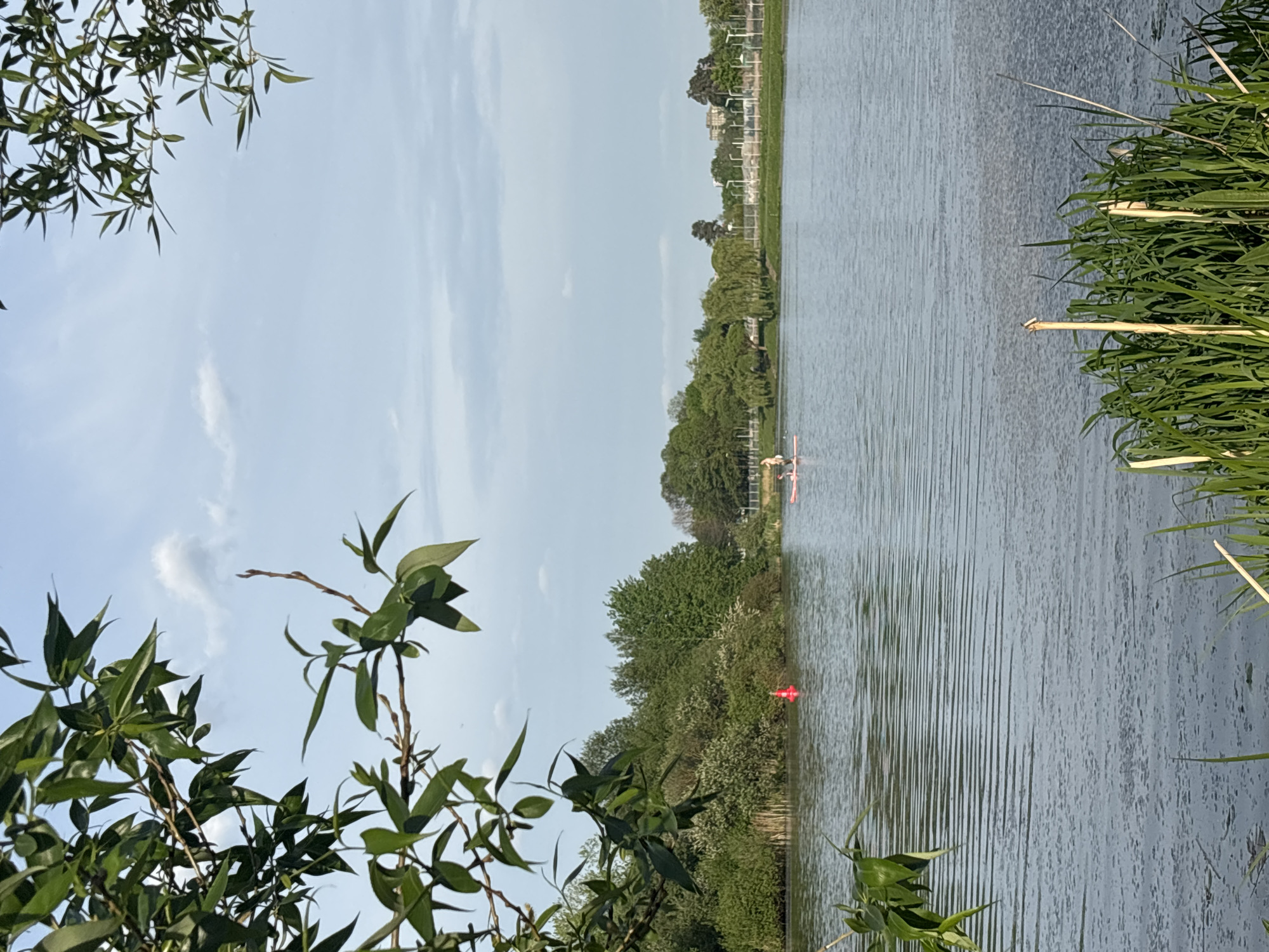 The image depicts a water scene, possibly a lake or river, with greenery on both sides. On the left, foliage from a tree or bush frames the view. On the right, there is taller, reed-like vegetation. In the distance, across the water, more trees and a faint outline of a building or structure are visible. In the center of the image, there appears to be a person in a kayak. Additionally, there is a red buoy floating in the water. The location is Minsk, Belarus.