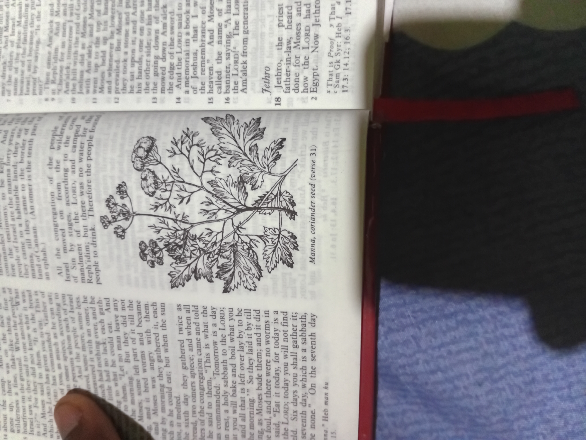The image is a close-up shot of an open book, displaying text and an illustration. The book appears to be a religious text, likely the Bible, given the presence of chapter and verse references like "18 Jethro" and "2 Egypt." The text is in English and printed in a standard font. To the right of the text is a black and white illustration of a plant with small flowers and leaves, identified in the text as "Manna, coriander seed (verse 31)."
The book is placed on a surface covered with a blue, textured fabric. A red object, possibly a bookmark or a piece of the book's binding, is visible along the right edge of the image. A dark shadow, cast by an unseen object or person, occupies the lower left portion of the frame.
There are no people or discernible human interactions depicted directly in the image. The environment appears to be indoors, given the presence of the book and the fabric surface. The lighting is somewhat dim, creating shadows.
Regarding the location in the city of Nkpor, Nigeria: There is no visual information in the image that can identify its specific location within Nkpor, Nigeria. The image solely focuses on the book and its immediate surroundings.