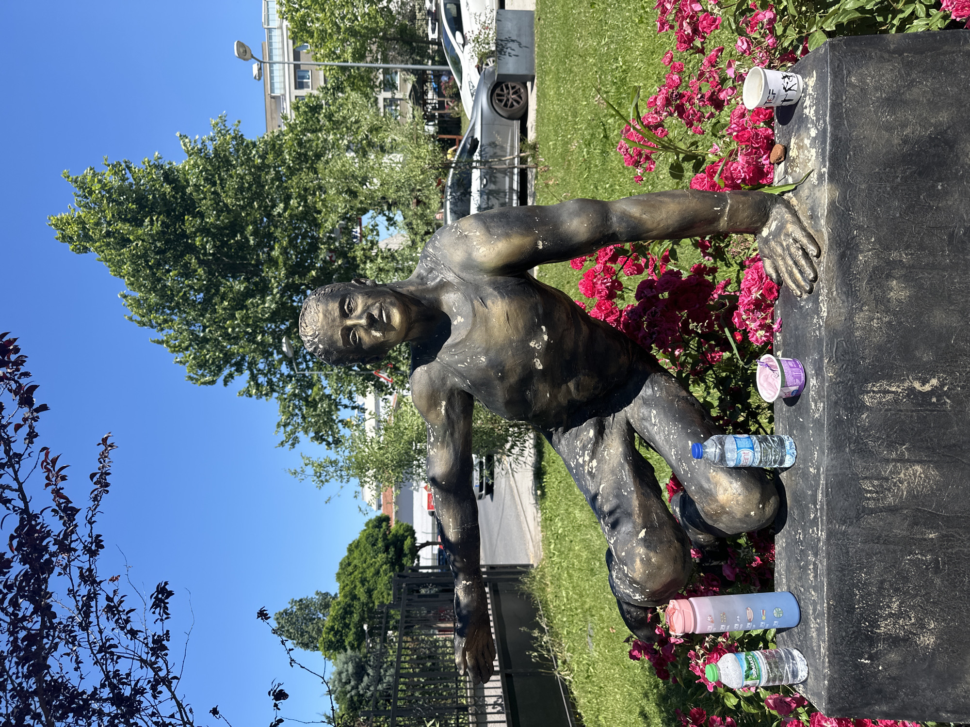 This is a medium-shot, eye-level outdoor photograph taken on a bright, sunny day in Sancaktepe, Turkey. The primary subject is a bronze statue of a man in a dynamic, athletic pose, possibly mid-stride or about to leap. He is leaning forward with his left arm extended forward and slightly upward, while his right arm is bent at the elbow and resting on the dark, rectangular base of the statue. The statue is weathered and shows patches of lighter color on its dark bronze surface.
The statue is situated in front of a vibrant bed of pink roses, with green grass and other foliage surrounding it. Behind the statue, a black metal fence is visible, and beyond that, a street with parked cars, including a light-colored sedan and a white hatchback. In the background, there are trees and a multi-story building with windows. The sky is a clear, bright blue.
On the dark base of the statue, to the left of the statue's legs, are four objects: a small bottle of water with a green label, a tall, pink and blue water bottle, another bottle of water with a blue label, and a small purple container. To the right of the statue's right hand, there is a white paper cup with writing and a small dark object, possibly a seed or a pebble. The overall scene suggests an urban park or public space.