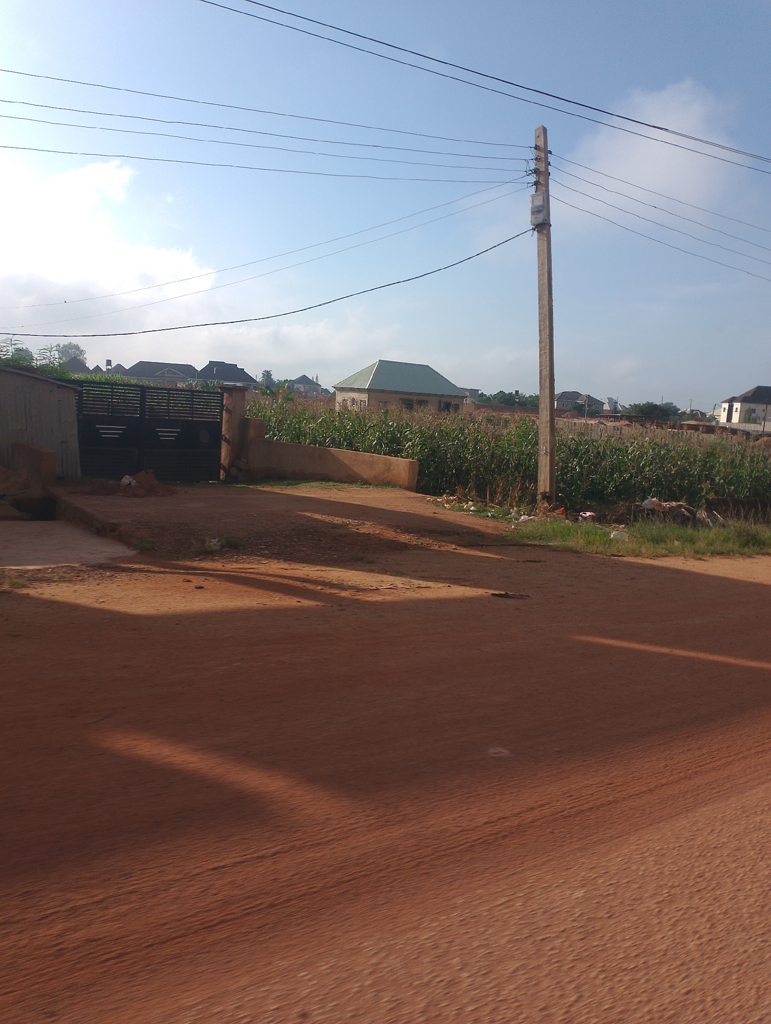 The image captures a scene in Kwang, Nigeria, featuring a dirt road in the foreground with a prominent shadow cast across it. To the left, a building with a corrugated metal roof is visible, adjacent to a large, dark metal gate. Beyond the gate, a field of tall, green corn stalks stretches into the background. Several houses with different roofing styles are scattered amongst the cornfield and further into the distance. A weathered wooden utility pole stands in the middle ground, supporting numerous overhead electrical wires. The sky above is a clear blue with a few scattered white clouds, and the lighting suggests it is daytime, likely morning or late afternoon due to the long shadows. The overall impression is a semi-rural or developing urban area.