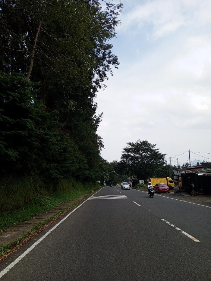 This image depicts a two-lane asphalt road in Ciloto, Indonesia, under an overcast sky. The road features a solid white line marking the left edge, a dashed white center line, and a pedestrian zebra crossing in the middle ground. To the left of the road, a narrow grass verge with concrete curbing borders a steep, heavily vegetated hillside densely covered with trees and shrubs. To the right of the road, a white scooter ridden by an individual in a white shirt travels away from the viewer. Behind it, a red passenger car and a yellow cargo container on a truck chassis are parked on the shoulder. Further down the road on the right, a silver sedan proceeds in the same direction, and additional vehicles are visible in the distance. Structures with corrugated metal roofs and utility poles with overhead lines are present on the right side of the road, partially obscured by trees.