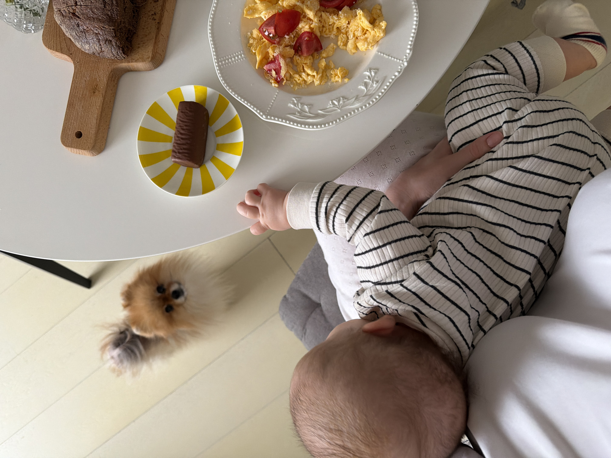 This bright, top-down image captures a casual indoor scene, likely in a home in Khimki, Russia, during the daytime. The main subjects are a baby, a partially visible adult, and a small dog.
A white round table occupies the foreground and center, set for a meal. On the table, a rustic wooden cutting board holds a piece of dark, crusty bread. Adjacent to it, a white plate with an ornate, beaded rim contains a serving of scrambled eggs garnished with chopped red tomatoes. A smaller, eye-catching plate with vibrant yellow and white radial stripes holds a single, ridged chocolate bar.
A baby, wearing a white and black striped long-sleeved onesie, is positioned at the table, with their head and left arm visible. Their head is turned away, facing the partially visible adult to the right. The adult's arm, dressed in a white top, is visible, and their hand gently rests on the baby's leg. The baby also wears white socks with red and blue stripes on the cuff.
On the light wooden floor beneath the table, a fluffy, light brown Pomeranian dog looks up with an attentive, slightly blurry expression, seemingly observing the activity at the table. The floor is made of light-colored wooden planks.
The scene conveys a warm, domestic moment, possibly a family breakfast or brunch, with the pet curiously watching from below. No text is visible in the image.