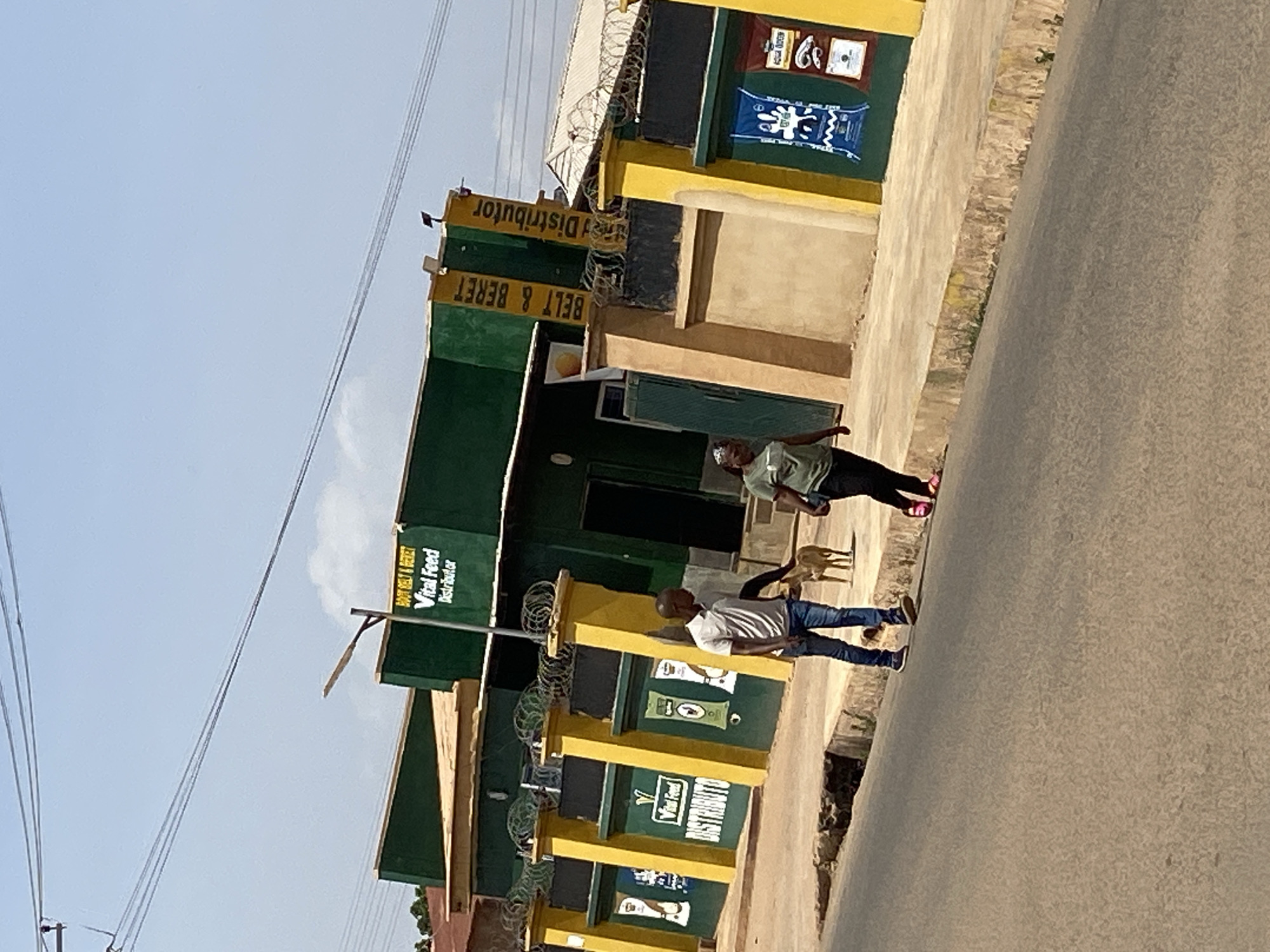 This daytime image captures a street scene outside a building, likely a store or distributor, in what appears to be Jos, Nigeria. The main subject is a one-story building characterized by its distinct green walls and bright yellow pillars and trim. Several prominent signs adorn the building's facade. On the upper section, text reads "BELT & BERET Vital Feed Distributor." Further down, more signs and posters for "Vital Feed" are visible on the green sections and yellow pillars, indicating the sale of animal feed. Barbed wire is installed along the top edges of some parts of the building.
In front of the building, two men and a small dog are present. One man, wearing a white shirt and blue jeans, stands closer to the building. The second man, dressed in a light-colored shirt, dark pants, and distinctive pink shoes, is positioned further out. A small, light brown dog stands between the two men.
To the right of the building and people, a paved road stretches into the distance. A dirt path or sidewalk runs alongside the building, separated from the road by an uneven patch of ground or a ditch. The sky above is clear and light blue, with a few wisps of clouds visible. Overhead power lines are strung across the upper left part of the frame. The scene suggests a typical, active street during daylight hours.