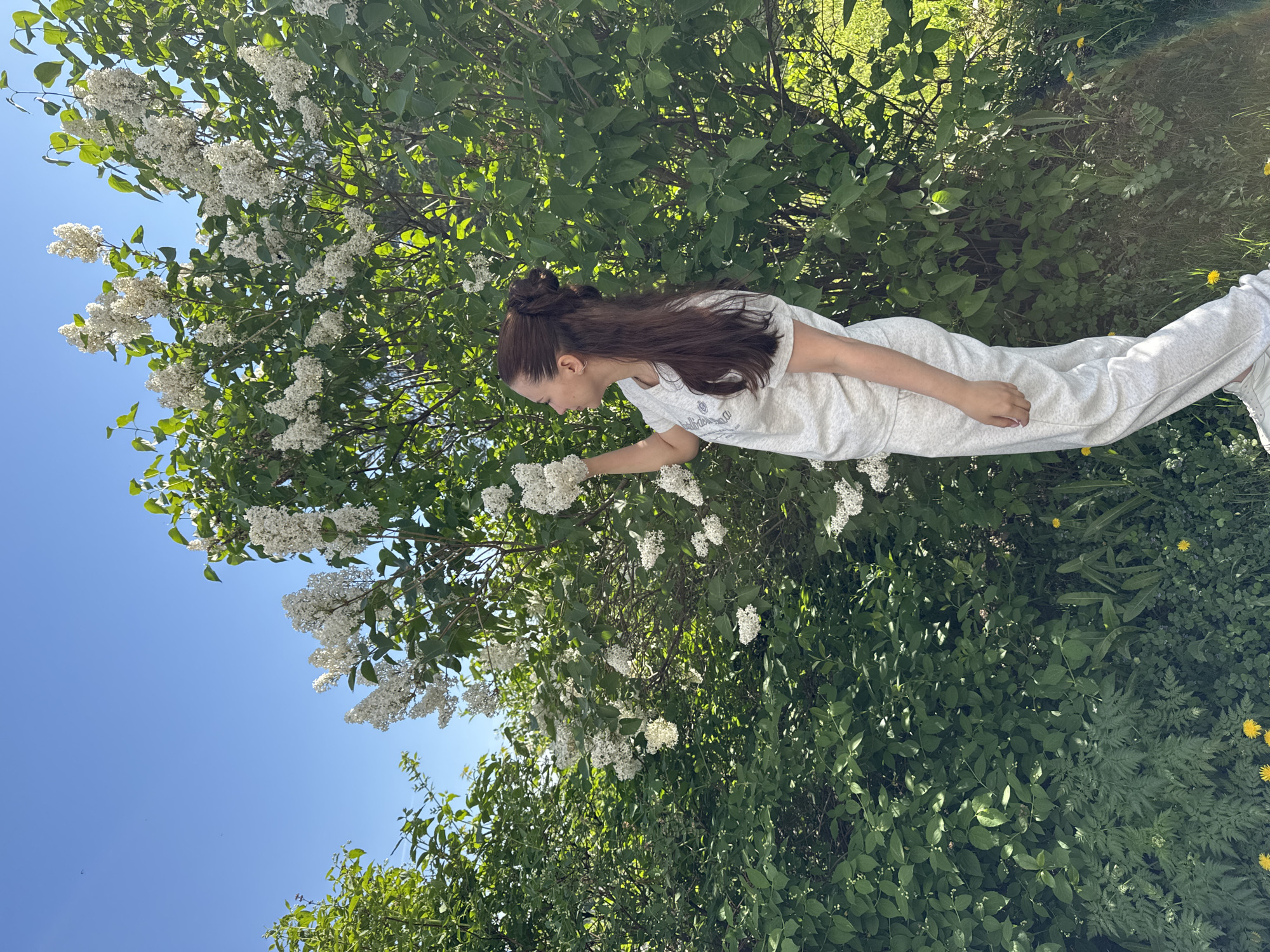 A woman stands beside a blooming white lilac bush under a clear blue sky. She is wearing a light-colored sweatsuit and her hair is styled in a bun. She is reaching out to touch the lilac blossoms. The surrounding area appears to be a grassy field with various plants. There is no indication of Chaikovsky, Russia in the provided images.