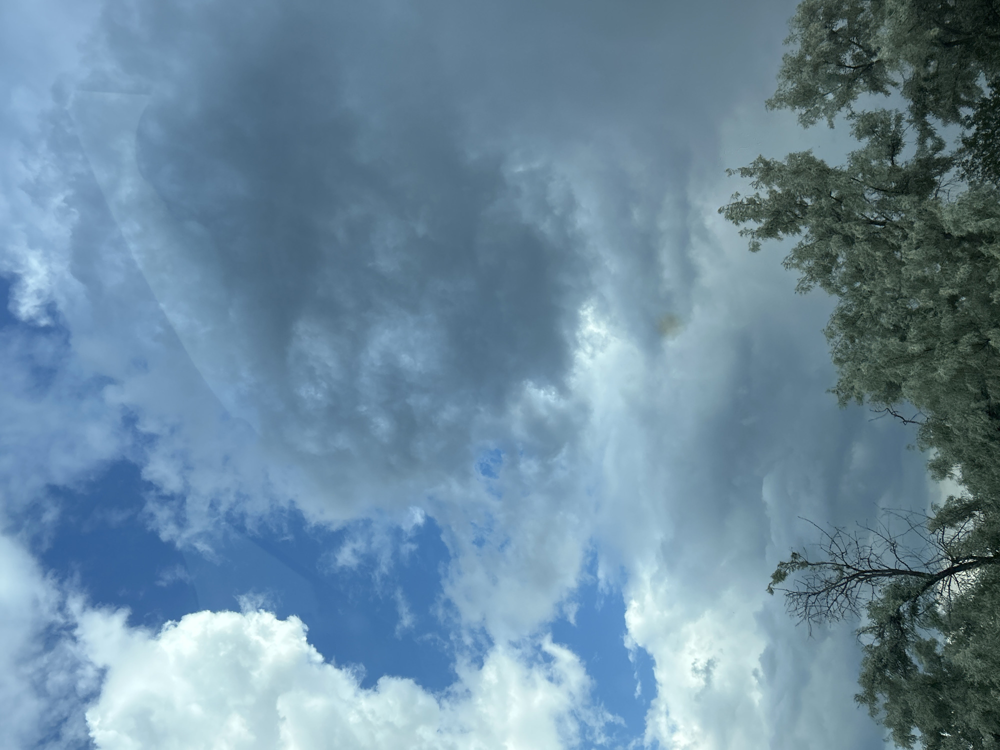 The image shows a view looking up at a cloudy sky with patches of blue. A tree with dense foliage is visible on the right side of the frame. There is a reflection or distortion that suggests the photo was taken through glass. The location in Malo Konare, Bulgaria is not evident from the image. The image does not provide information about people, actions or interactions.