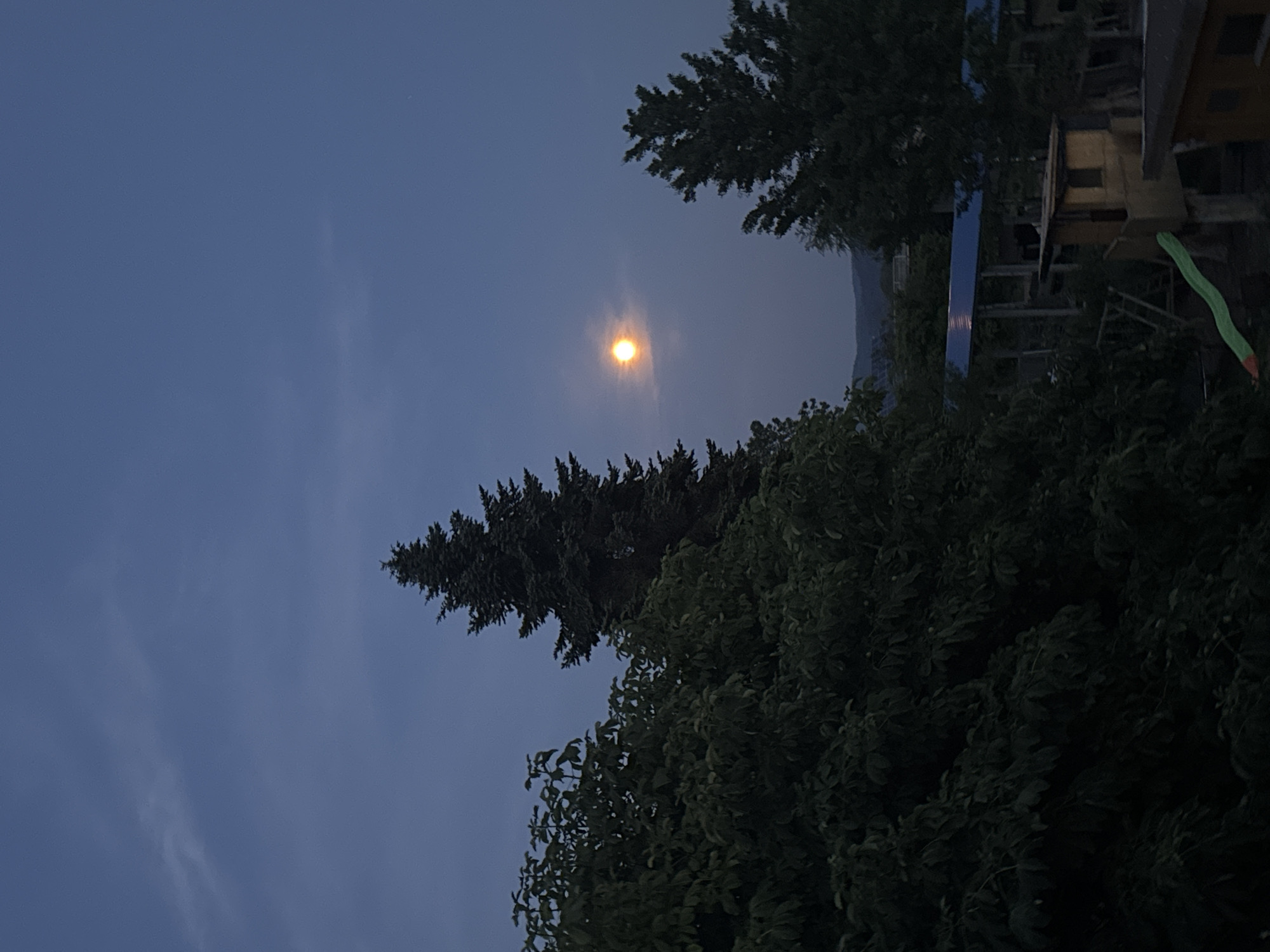 The image depicts a dusky outdoor scene with a bright, full moon visible in the sky, slightly obscured by a thin cloud. In the foreground, lush green foliage dominates the left side of the frame, with a tall, dark evergreen tree positioned behind it. To the right, another evergreen tree stands silhouetted against the sky, with a hint of distant hills or mountains in the background. In the lower portion of the image, a wooden structure, possibly a playhouse or treehouse, is partially visible, along with a blue-roofed structure and a green slide. The overall atmosphere is tranquil and natural, with the illumination suggesting either dusk or dawn.