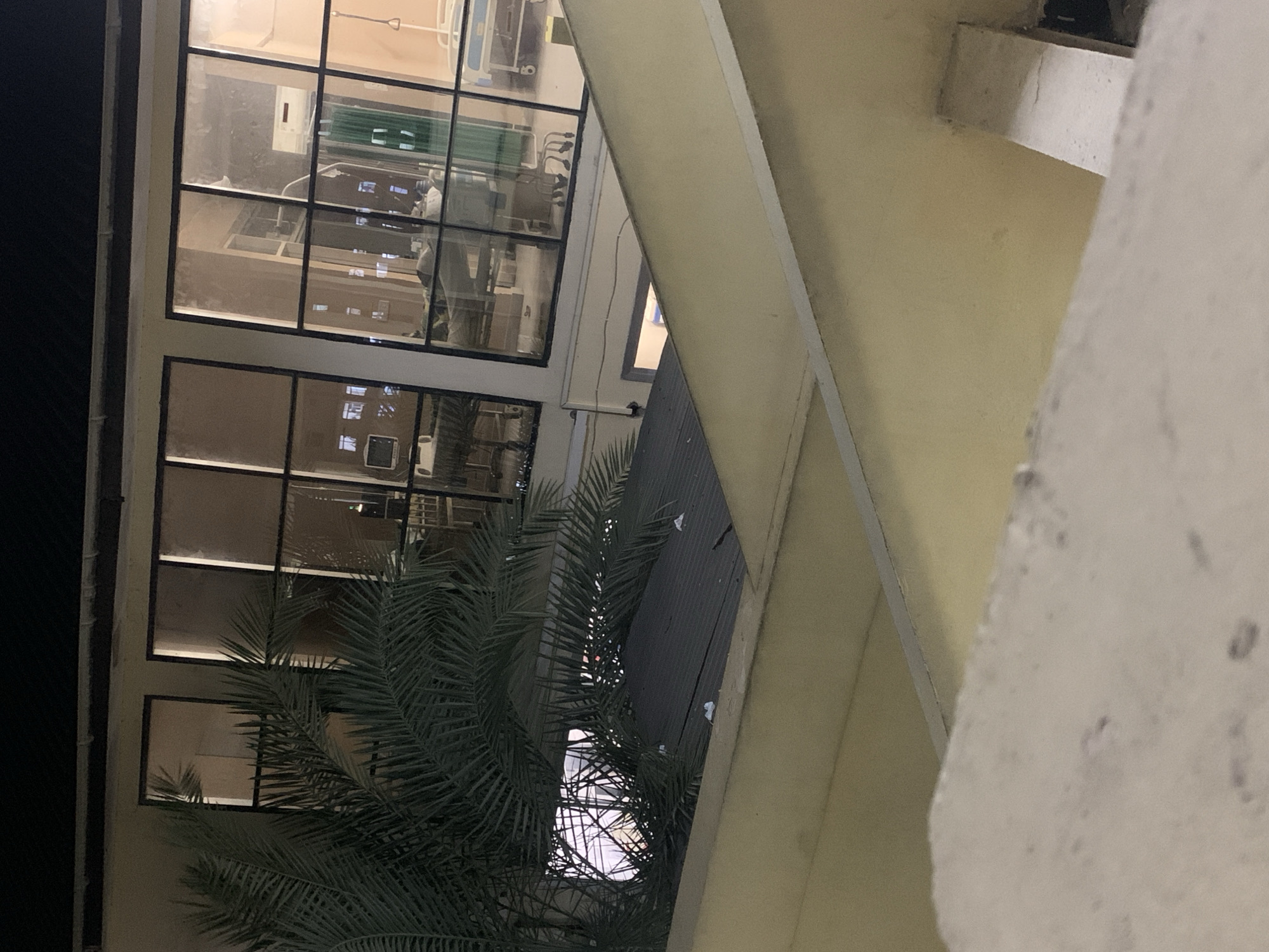 The image presents a view of a building with a multi-pane window system. Inside, the reflections of what appears to be a hospital or healthcare setting are visible, indicated by medical equipment and personnel. A palm tree is situated outside, partially obscuring the view through the windows. The architecture features light-colored walls with a vertical support structure. The scene likely takes place at night or during a period of low light. The exact location within Dar es-Salaam, Tanzania, cannot be determined with the available information.