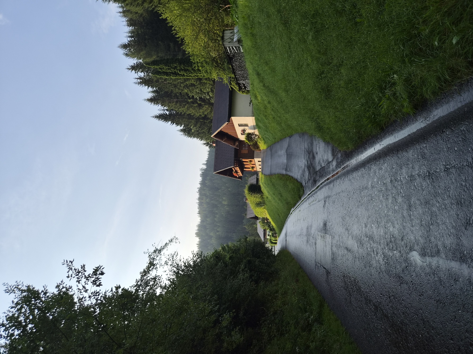 The image shows a wet asphalt road curving uphill through a rural landscape. Lush green grass covers the slopes on either side of the road. On the right side, a cluster of houses with traditional Austrian architecture is visible, nestled against a backdrop of dense evergreen trees. The sky is a clear, pale blue with a hint of haze. The scene appears to be set in a mountainous region, possibly in or around Eisenerz, Austria, given the characteristic architecture and abundant forestry. No people or animals are visible in the frame. The overall impression is one of a peaceful, natural setting after a recent rain.