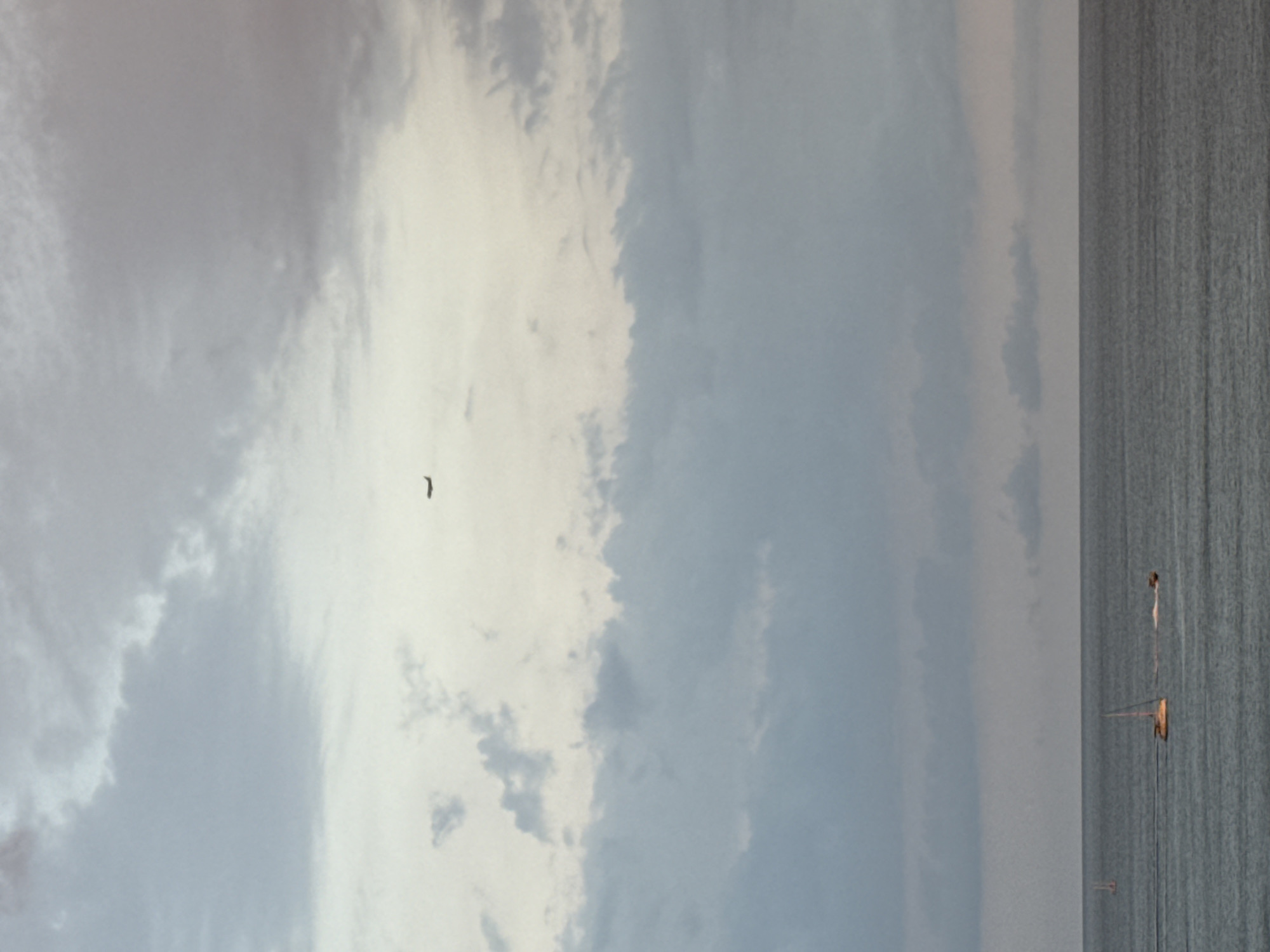 The image depicts a cloudy sky over a calm sea. In the sky, a silhouette of an airplane is visible. In the sea, there are several sailboats and a person on a jet ski. The lighting suggests it is either dawn or dusk. The scene appears to be a coastal area, possibly the city of Gelendzhik, Russia, given the presence of boats and the type of seascape often found in such locations. There are no people visible on the shore or in any discernible city structures, indicating the focus is on the water and sky.