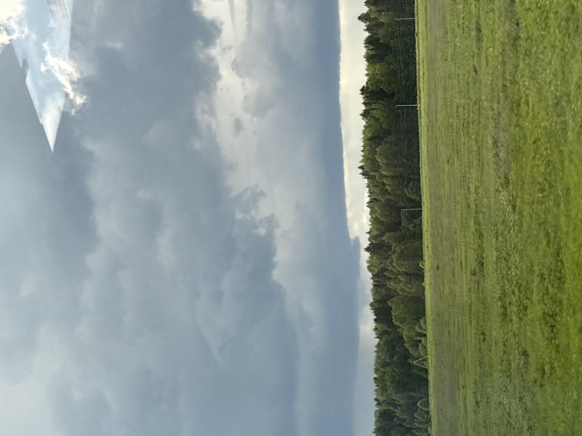 The image presents a view of a grassy field adjacent to a forest under a cloudy sky. It seems unlikely that there is enough information to pinpoint a specific location in Kukushtan, Russia, or to confirm that the image was taken there at all. The focus is primarily on natural elements: grass, trees, and clouds. There are no people or discernible interactions visible. The presence of possible utility poles at the edge of the forest hints at some human infrastructure.