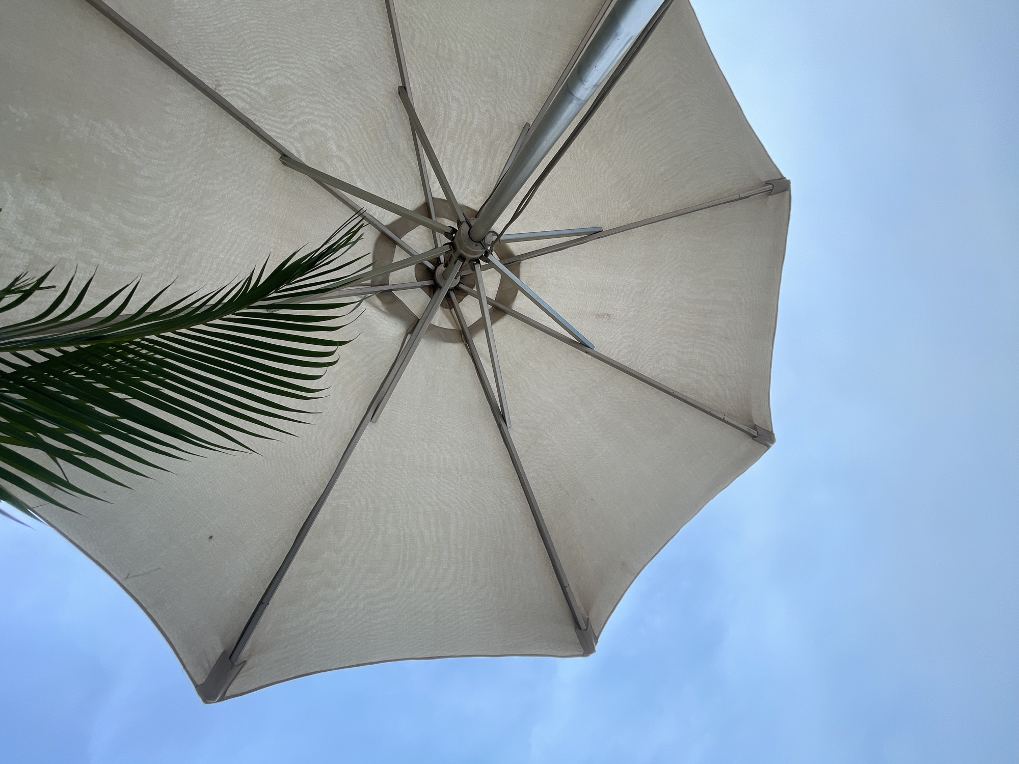 The image captures a low-angle perspective looking upwards, featuring the underside of a large, light-colored outdoor umbrella. The umbrella's fabric, possibly off-white or light beige, shows a subtle mesh-like texture. Its central metallic pole and numerous supporting ribs extend outwards, creating a distinct skeletal structure against the canopy.
A vibrant green palm frond is visible in the upper left and central-left portions of the frame, its narrow leaflets extending diagonally across the umbrella's surface. This natural element suggests a tropical or warm-climate setting.
Beyond the umbrella's periphery, a soft blue sky is visible, indicating daytime. The sky appears partly cloudy or hazy, without the intensity of a completely clear sky.
The scene depicts an outdoor leisure setting, such as a garden, patio, poolside, or beach area in Abuja, Nigeria, offering shade from the sun. No human subjects or specific activities are shown. There is no visible text in the image. The overall impression is one of tranquility and shelter in an outdoor environment.