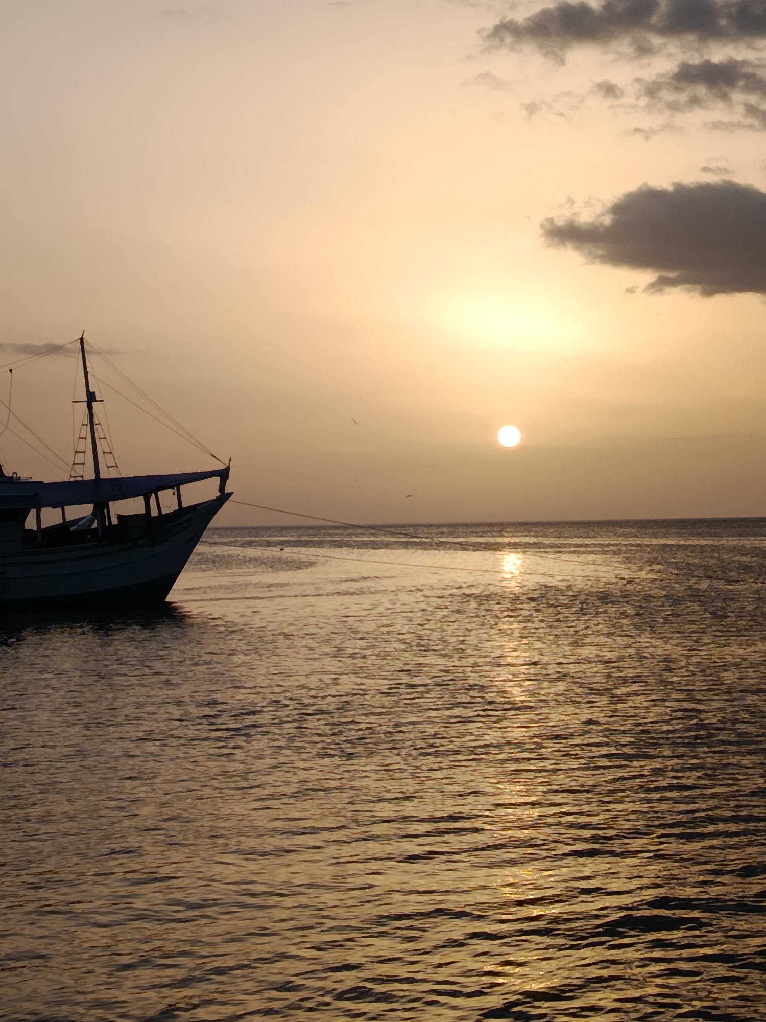 A silhouette of a boat is docked in the calm waters of Juan Griego, Venezuela, during sunset. The sun, a bright orb, casts a warm glow across the sky, tinging the clouds with hues of orange and yellow. The sea reflects the sun's light, creating a shimmering path on its surface. A gentle breeze ripples the water, and a few birds can be seen soaring in the distance. The boat, with its mast and rigging visible, appears to be a traditional fishing vessel. The scene evokes a sense of tranquility and peacefulness, capturing the beauty of a Caribbean sunset.