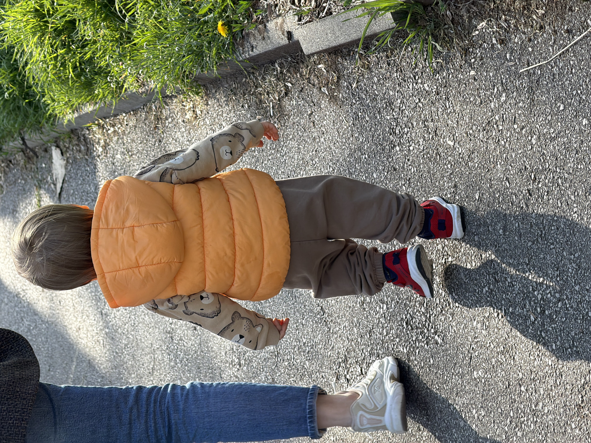 A ground-level photograph shows a child and an adult walking on a paved surface near a grassy area. The child, seen from the top-down perspective, is wearing an orange vest, a beige patterned sweatshirt with bears, brown pants, and red and blue sneakers. The child's left arm is extended. The adult is seen partially in the lower left corner, wearing blue jeans and a white athletic shoe. They appear to be holding the child's hand. The paved surface is gray and appears to be a sidewalk or pathway. A patch of green grass is visible alongside the pathway, and there is a concrete border. The location is potentially somewhere in Sofia, Bulgaria. The time of day appears to be during daylight hours.