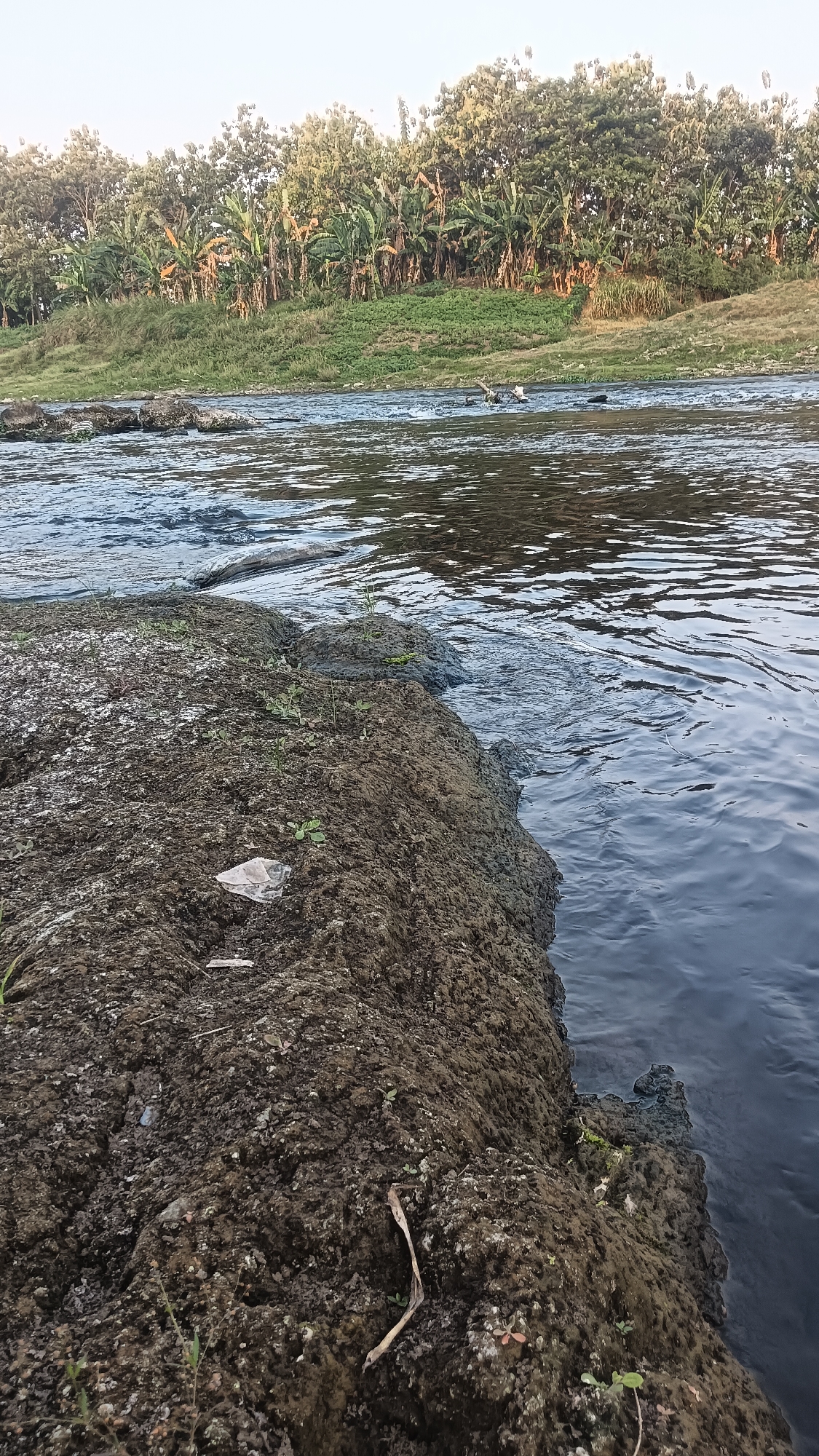 An outdoor, low-angle shot depicts the edge of a river in Tanggan, Indonesia. The foreground is dominated by a rough, dark brown muddy bank covered with sparse green vegetation. A crumpled piece of white plastic is visible on the bank. The river flows from left to right, with ripples on its surface. In the middle ground, a submerged log or debris is visible in the water. The background features a dense line of trees and banana plants along the opposite bank, with dry grass and soil. The sky is a pale, clear blue.