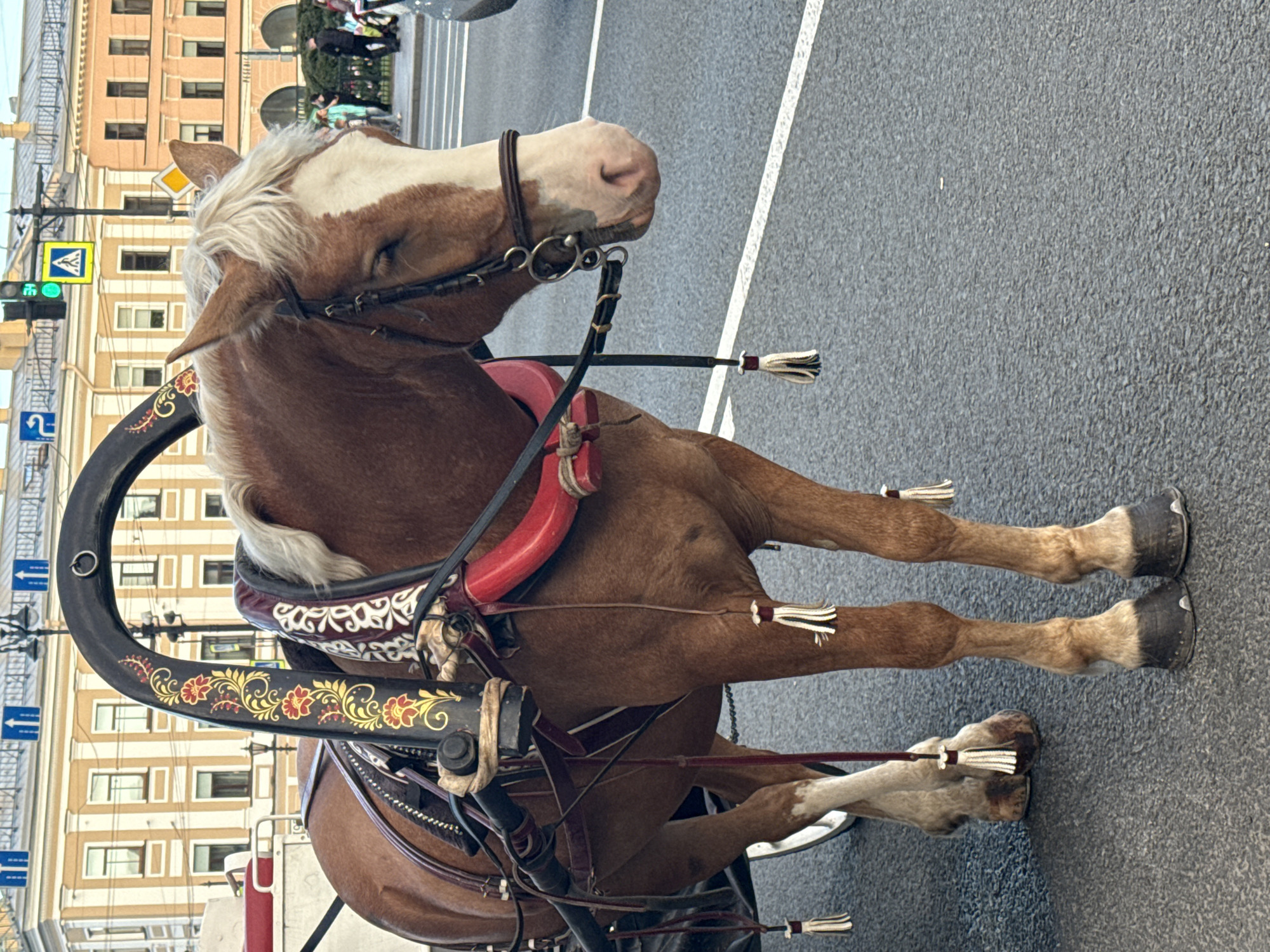 A brown horse with a white blaze on its face stands harnessed to a carriage on a city street. The horse is wearing a red collar and a bridle. The carriage has ornate black and gold decorations on its frame. In the background, there are buildings with classical architecture, a traffic light, and several people walking. The scene appears to be in Saint Petersburg, Russia, likely on Nevsky Prospekt, given the architectural style and general atmosphere. The pavement is grey asphalt with white lane markings.
