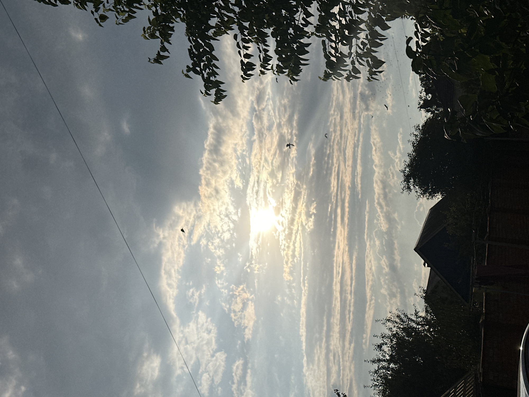 This image captures a sky with scattered clouds, illuminated by the setting or rising sun which is partially obscured. The sun's rays create a bright glow and pierce through the cloud layers. Several birds are visible in flight against the sky. In the foreground, silhouetted against the brighter sky, are the tops of trees and the roofs of houses, suggesting a residential area. A power line runs diagonally across the upper portion of the frame. The overall scene appears to be an outdoor, possibly rural or suburban, environment. The location is identified as Khmilnyk, Ukraine.