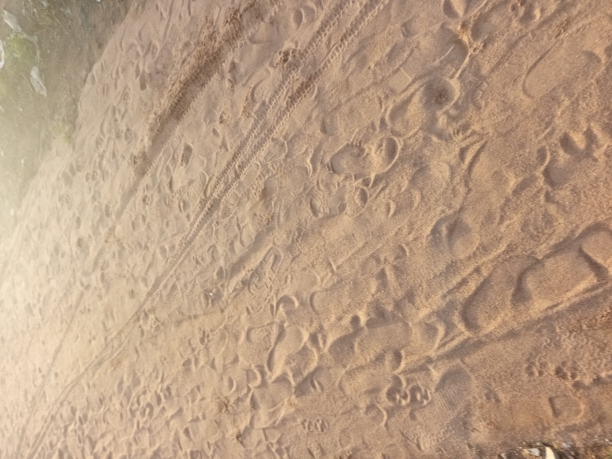 The image shows a sandy track with numerous footprints and tire tracks, suggesting it's a pathway frequently used by both pedestrians and vehicles. The sand is a light brown color and appears dry and loose. In the background, the area is hazy, possibly due to dust or fog, and some vegetation and debris are visible on the right side, hinting at an undeveloped or semi-developed area. The lighting suggests it could be early morning or late afternoon. This scene is consistent with a location in Jalingo, Nigeria, where such sandy tracks are common in many parts of the city and its surroundings, particularly in less urbanized or rural areas.
