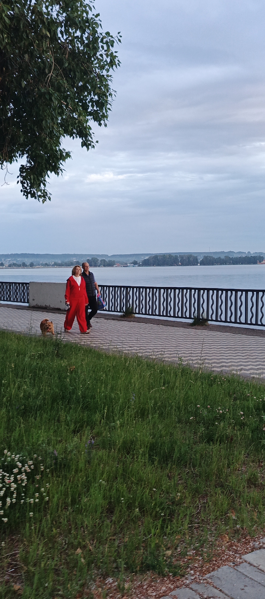 The image depicts a waterfront scene in Votkinsk, Russia. In the foreground, lush green grass with scattered small white and purple flowers grows on a bank. A paved walkway with a wavy pattern runs parallel to the waterfront, separated from the grass by a concrete curb. On the walkway, a woman in a bright red jumpsuit is walking with a small, reddish-brown dog. Behind her, a man in a dark vest over a dark shirt walks also on the walkway. A black metal fence with an ornate design runs along the edge of the walkway, bordering the calm, expansive body of water. In the distance, a tree-lined shore is visible under a cloudy sky. The overall atmosphere is serene, suggesting an early evening or overcast day.