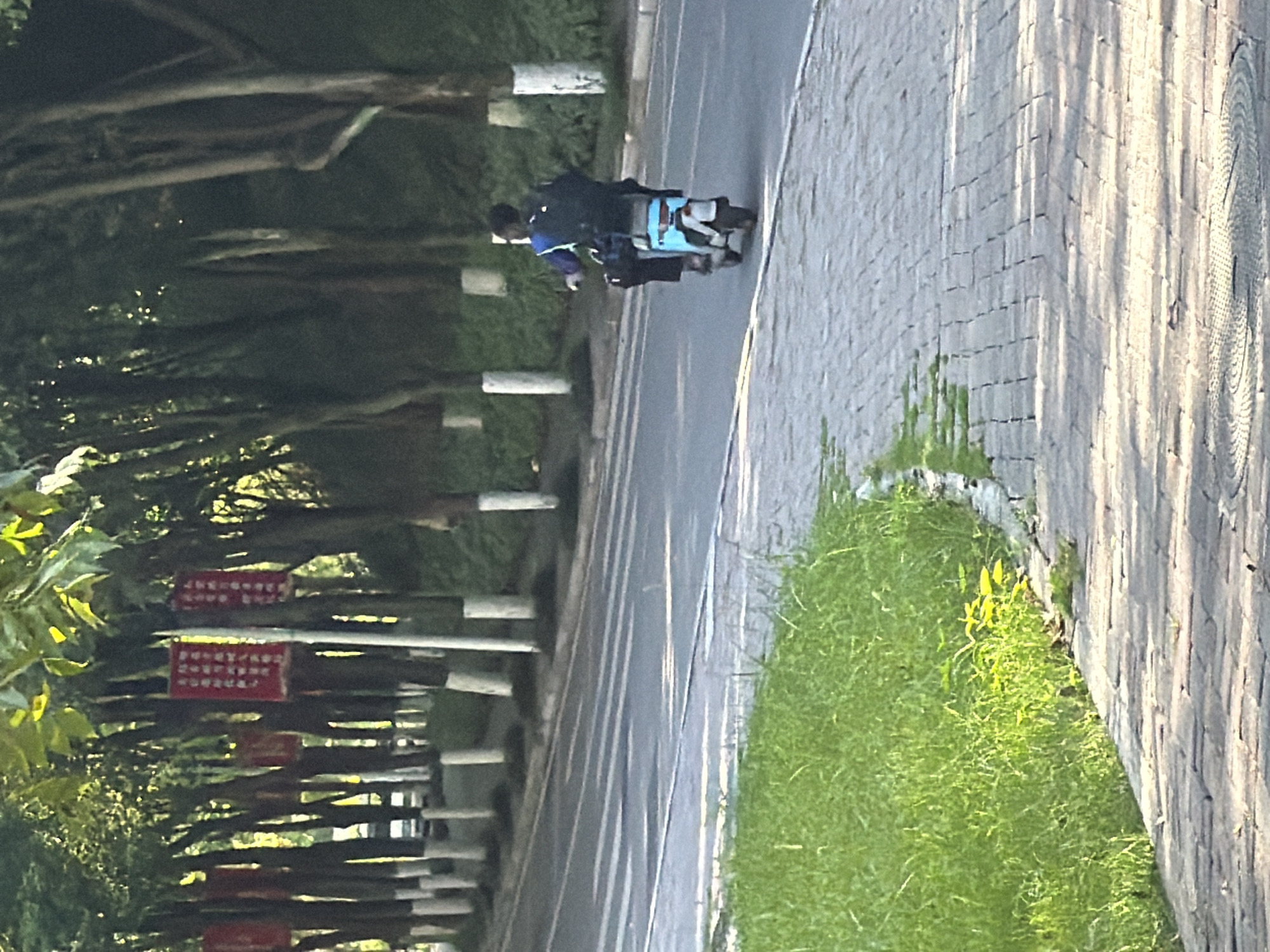 The image depicts a paved pedestrian walkway bordering a road lined with trees. Red banners with white text are hanging from some of the trees. On the road, a person is riding a light blue electric scooter, wearing a backpack. The road has visible lane markings and appears to be in a city environment. The pedestrian walkway is made of interlocking pavers and is adjacent to a grassy area. The scene suggests an outdoor setting in Jiangjin, China, likely a park or a street with ample greenery and pedestrian infrastructure.