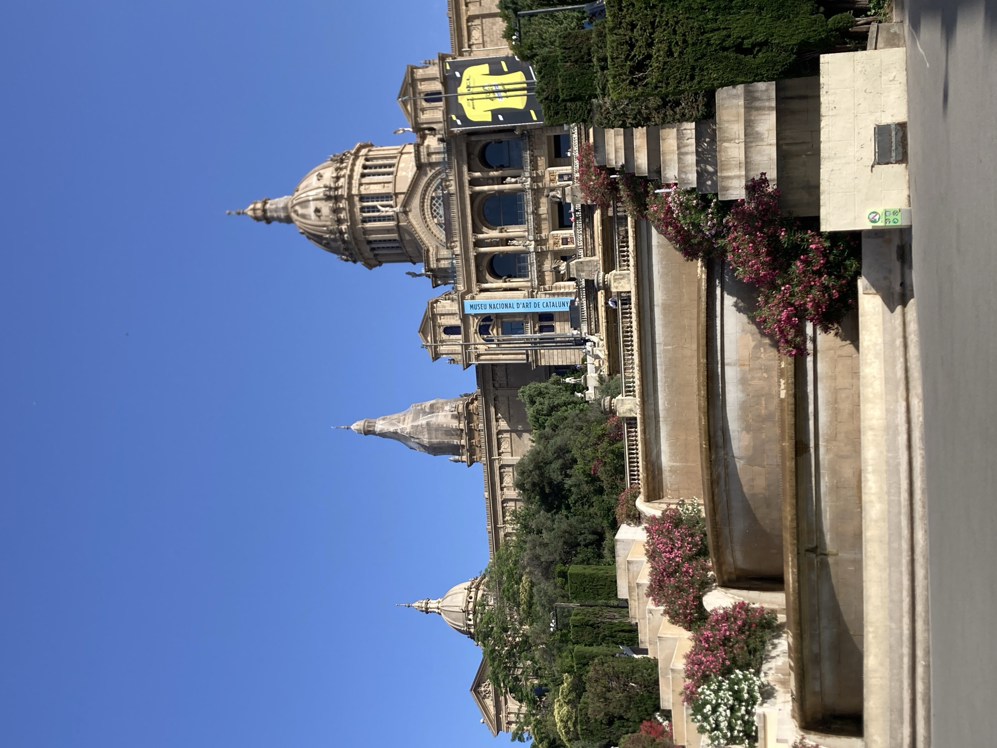 This media file displays the Palau Nacional, a grand palace in Barcelona, Spain, under a clear blue sky, suggesting a sunny day. The orientation of the image is rotated 90 degrees counter-clockwise. The palace, a prominent landmark, features classical architecture with domes, columns, and ornate detailing.
In the foreground, a series of tiered fountains and staircases lead up to the palace. Lush greenery and vibrant pink and white flowers adorn the terraces, creating a picturesque setting. A banner with a yellow design on a black background is visible on the upper facade of the building. Below this, a blue banner with white text reads "MUSEU NACIONAL D'ART DE CATALUNYA," indicating the museum housed within the palace.
The scene appears to be set during daylight hours, likely late morning or afternoon, given the strong sunlight and distinct shadows. The overall impression is one of architectural grandeur and natural beauty, with a sense of calm and serenity. No people are visible in the frame. The location is clearly identifiable as the Museu Nacional d'Art de Catalunya in Barcelona due to the visible signage.