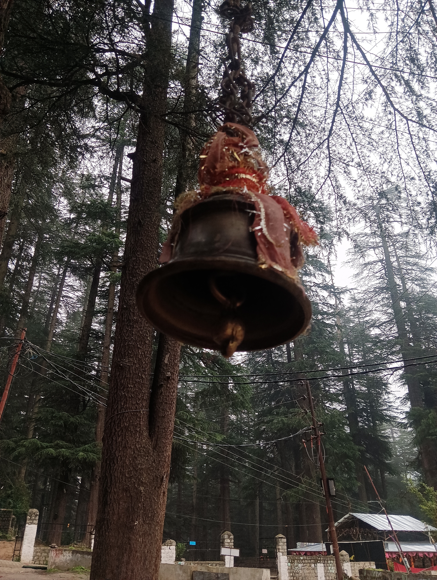 A large, brass bell hangs suspended by a metal chain from a tree branch in a forest setting, likely in the city of Manali, India. The bell is partially covered by decorative red and gold fabric. Numerous tall pine trees with dark green foliage dominate the background, creating a dense forest atmosphere. Power lines crisscross the scene, supported by a wooden pole on the right side. In the lower portion of the image, a low stone wall with metal fencing is visible, and further back, a small structure with a corrugated metal roof is present. The lighting suggests an overcast or misty day. No people are clearly visible in the frame.