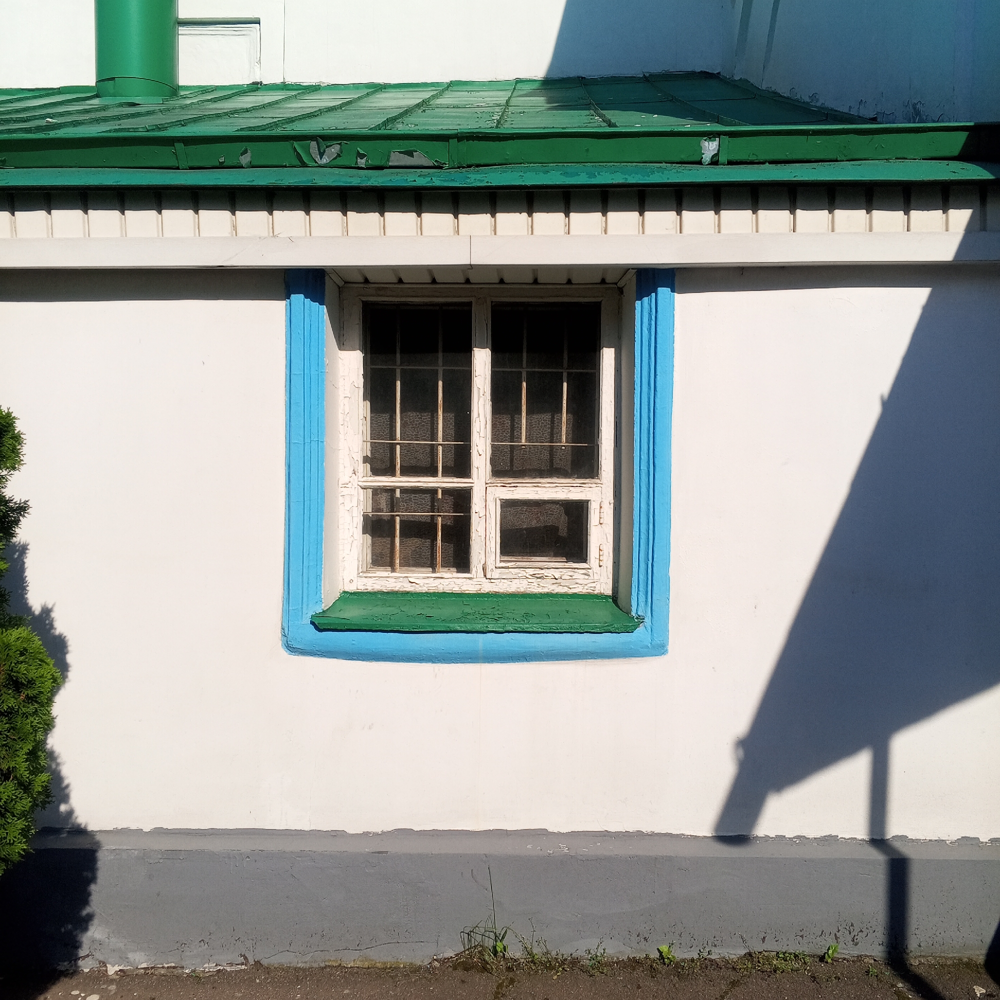 A close-up, eye-level, exterior shot focuses on a white, plastered wall of a building in Zhilino-1, Russia. The wall is interrupted by a window with a blue frame and a green sill. The window has six panes, each with a metal grate. The paint on the window frame is peeling. Above the window, there is a white trim with vertical grooves, and above that, a green, corrugated metal roof with peeling paint. A green pipe protrudes from the roof to the left. The base of the wall is painted gray and shows signs of wear. To the left of the frame, a portion of a dark green evergreen shrub is visible, casting a shadow. To the right, a large, dark shadow, likely from an overhanging structure, is cast across the wall. The ground in front of the wall is a rough, dark surface, possibly asphalt or gravel, with some sparse green weeds growing near the base of the wall. The lighting suggests it is daytime, with strong sunlight creating distinct shadows. No people or animals are present in the image.