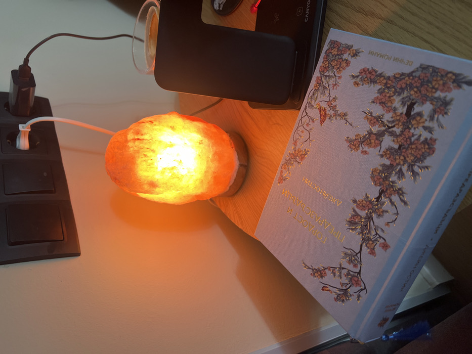 The exact location within the city of Bazan, Bulgaria, cannot be determined from the image. The scene depicts an indoor setting, likely a bedside table or desk, illuminated by artificial light.
In the foreground, a light-colored book with a decorative cover lies flat on a wooden surface. The cover features gold-colored Cyrillic text that translates to "Pride and Prejudice" by "Jane Austen," along with intricate floral and bird motifs in shades of orange and brown. A dark blue tassel bookmark hangs from the left side of the book.
Behind the book, to the right, a glowing orange Himalayan salt lamp rests on the same wooden surface, emitting a warm, soft light. Further back and to the right of the lamp, a dark-colored wireless charging station is positioned, with a device (likely a smartphone) upright on its charging pad. A red indicator light or cable tip is visible near the base of the charging station. A clear glass containing an amber liquid and a slice of fruit (possibly lemon or orange) is partially visible behind the charging station.
Above the salt lamp and charging station, a segment of a light-colored wall is visible, featuring a horizontal triple-gang electrical outlet panel in black. Two of the outlets are occupied: one by a white USB charger with a white cable extending downwards, and the other by a black power adapter with a black cable also extending downwards.