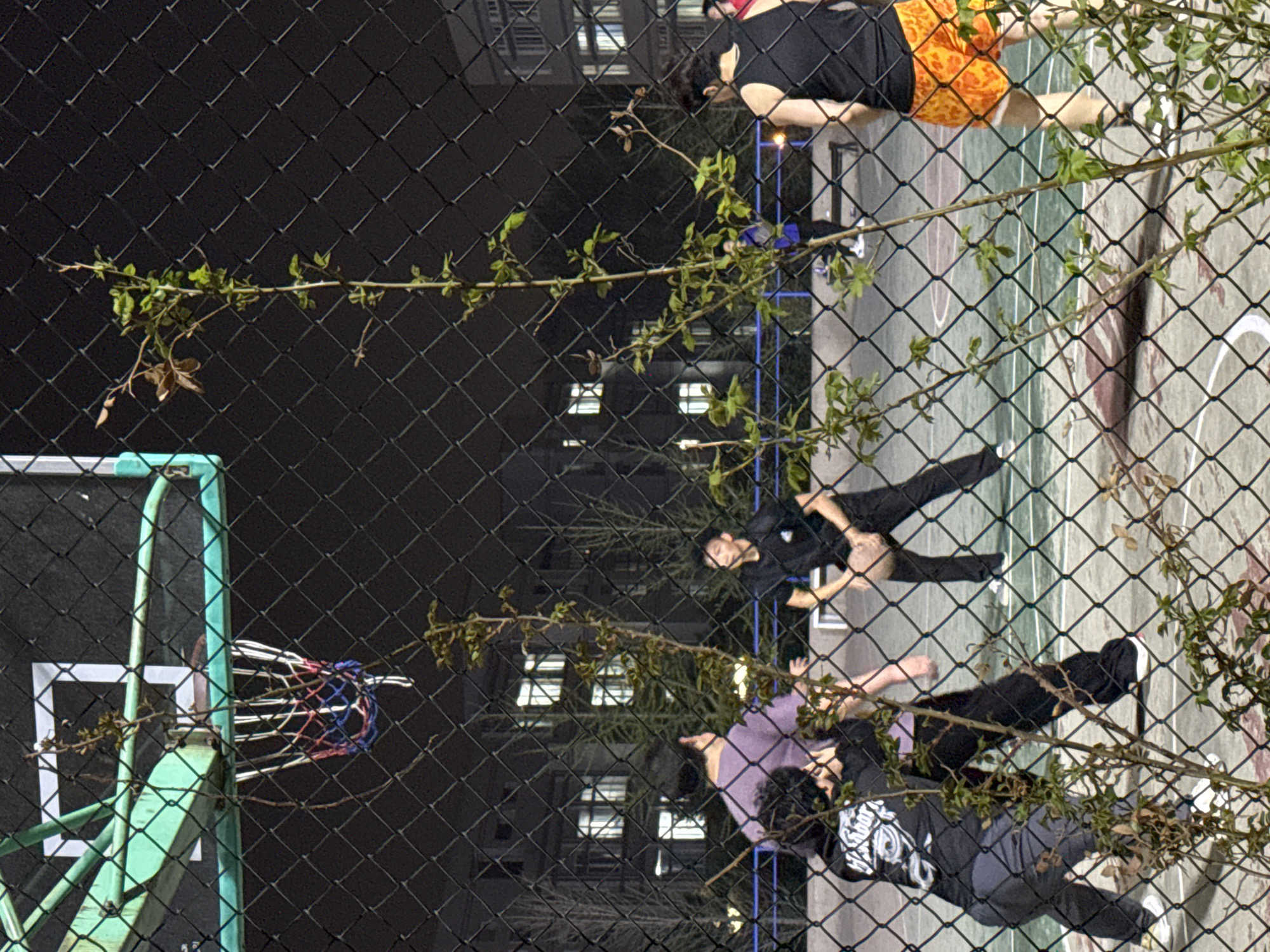 The image captures an outdoor sports court at night, viewed through a prominent chain-link fence. The fence, dark and metallic, stretches across the foreground, with green leafy branches and vines intertwined throughout its mesh.
On the court itself, several individuals are engaged in physical activities. To the right, a person wearing a black top and orange patterned shorts stands. Below them, another individual in an all-black outfit appears to be stretching or performing floor exercises on the court surface. Further to the left, two more people are visible; one in a purple top and dark pants, and another in a black long-sleeved shirt featuring a white graphic design, also positioned on the ground, likely resting or stretching. A light green basketball hoop structure with a blue, red, and white net is visible on the far left of the court. The court surface itself shows some white markings.
In the background, behind the court and visible through the fence, are dark multistory buildings with numerous brightly lit windows, confirming the nighttime setting. The scene depicts a casual sports or exercise session. No legible text is visible. The location is Zhongtun, China.