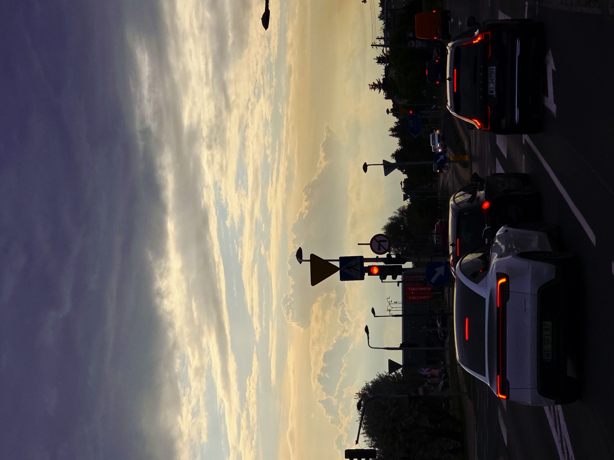 The image shows a street scene at sunset in an unknown city. The sky is filled with dramatic clouds, transitioning from dark gray on the left to light yellow and orange near the horizon. Several cars are stopped at a traffic light. One car is black, with the license plate "WI 369NV." Another car is white, with the license plate "WE 5FL87." Various traffic signs and streetlights are visible. A small bird is perched atop a traffic sign. Trees and buildings are silhouetted against the bright sky. The image is rotated 90 degrees counter-clockwise.