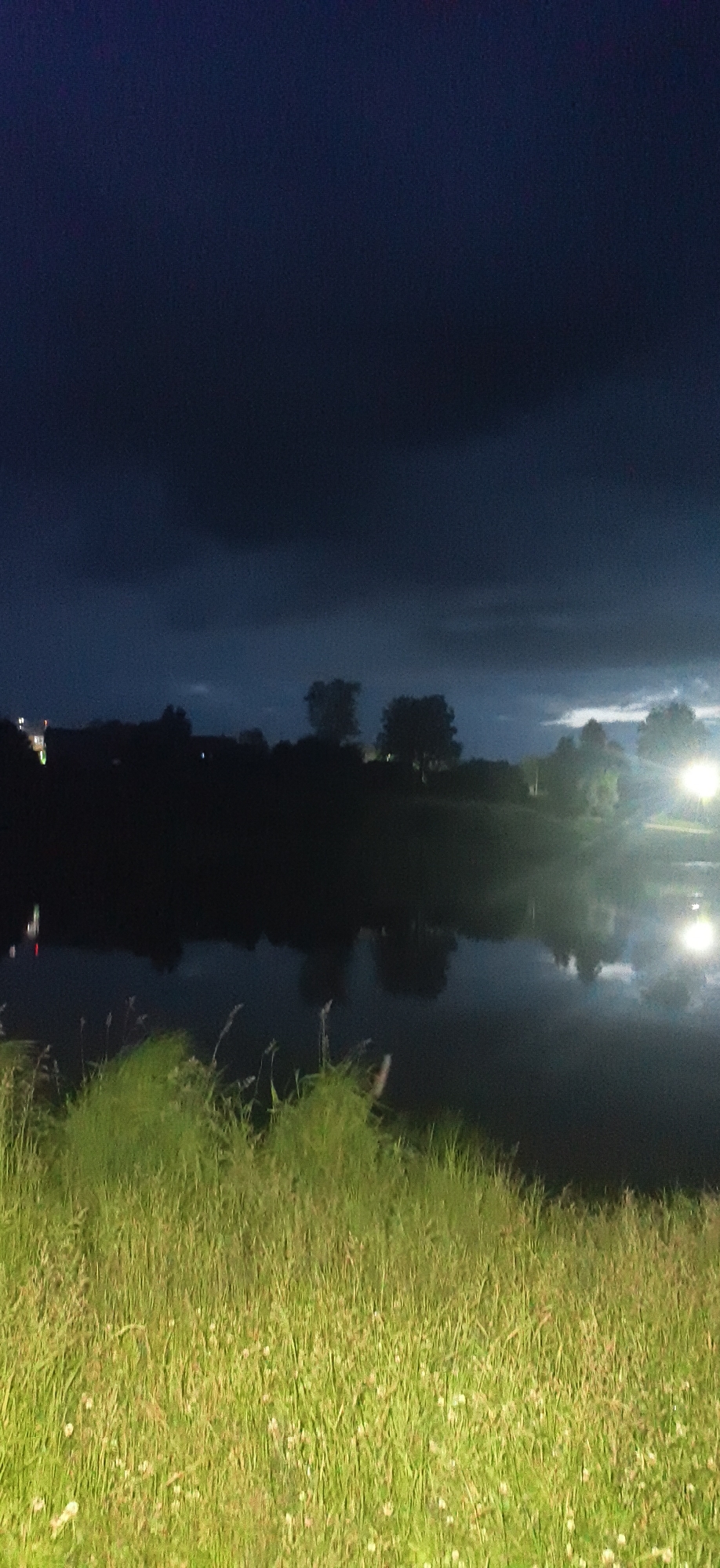 This is a vertical, low-light, outdoor photograph taken at night. The scene depicts a body of water reflecting the dark sky and some distant lights. In the foreground, there is a dense patch of tall, green grass with some white flowers. The background shows a silhouetted line of trees and some man-made structures, including what appear to be streetlights or floodlights illuminating the area near the water's edge. The sky is dark and overcast with visible clouds. The photograph appears to be taken from a grassy bank overlooking the water. No people are visible in the image.
