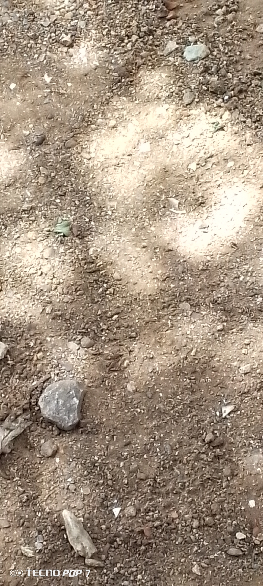 The image displays a close-up, ground-level view of a dirt and gravel surface. The ground is uneven and covered with small stones, pebbles, and some larger rocks. There are areas of light and shadow on the ground, suggesting it is outdoors, possibly under dappled sunlight. The texture of the ground is rough and dry. A watermark in the lower left corner reads "TECNO POP 7". There are no people, animals, or specific landmarks visible in the frame. The image appears to be a neutral, everyday scene.