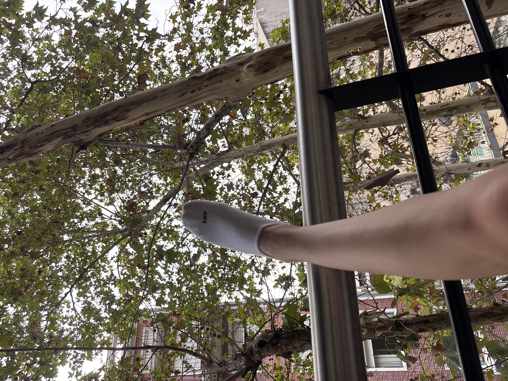 A low-angle shot shows a cityscape framed by the foliage of trees and metal architectural elements. The foreground contains a shiny, vertical metal pole, partially obscured by an arm and hand clad in a white sock with the acronym "LDT" imprinted on it. Behind the pole are black metal bars forming a partial fence or railing. Through the gaps in the railing, and beyond the trees, are brick buildings with windows, suggesting a densely populated urban area. The trees are in varying stages of foliage, with some leaves appearing green and others tinted brown, perhaps indicating the season. The image is captured from a perspective that is looking up towards the sky, as evidenced by the angle of the trees. Considering the architecture and foliage, it is possible this image was taken in Buenos Aires, Argentina.