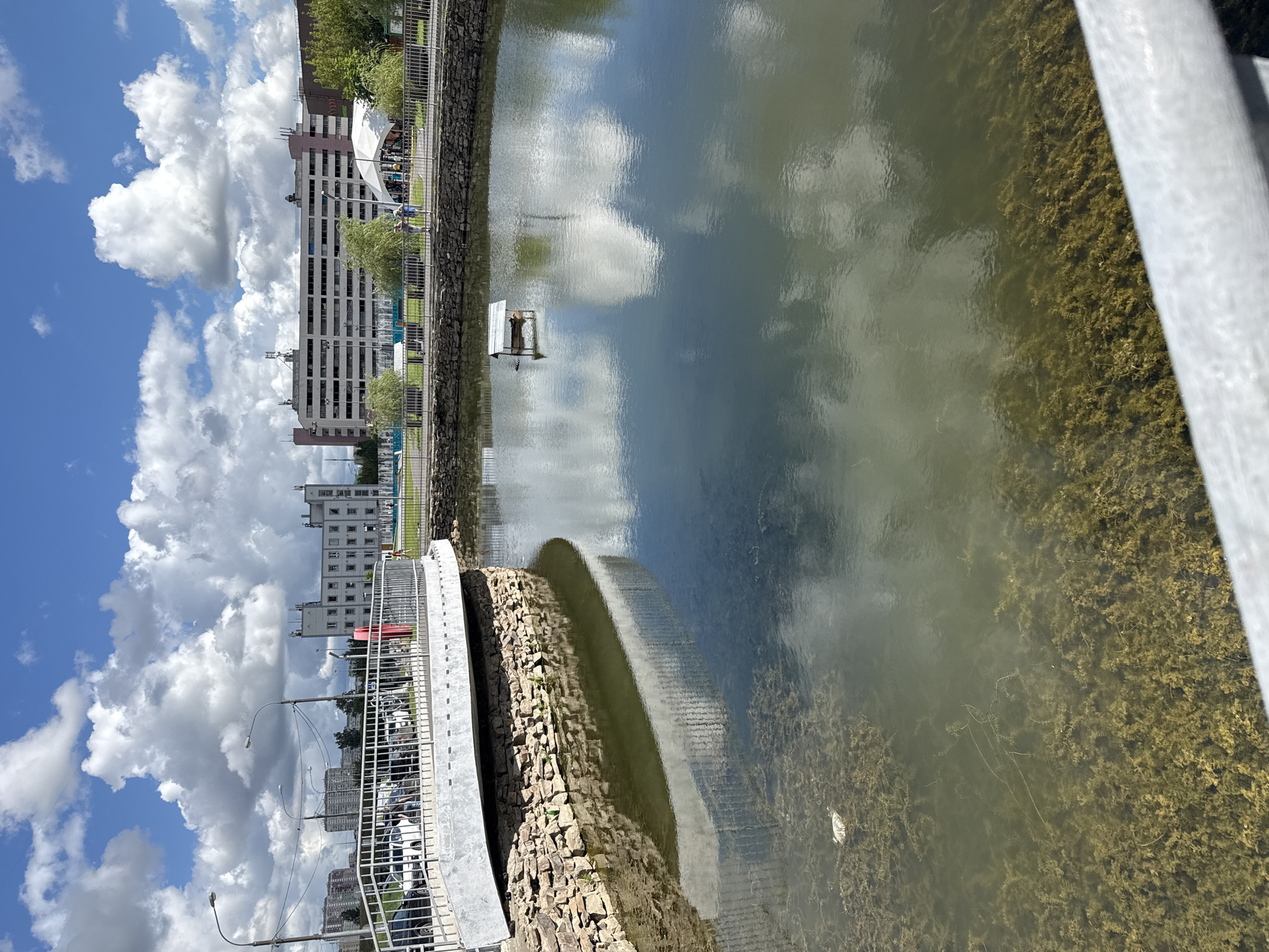 The image shows a pond with a small wooden structure floating in the middle, likely a bird feeder. The pond has visible aquatic vegetation at the bottom and is reflecting the sky and clouds. A stone embankment borders the pond, and a metal railing runs along its edge, leading to a bridge in the foreground. In the background, there are buildings, trees, and a street with cars and streetlights. There are a few people visible walking in the background. The scene appears to be in an urban park or recreational area. This location is a pond in Lyubertsy, Russia, situated near a bridge and buildings.