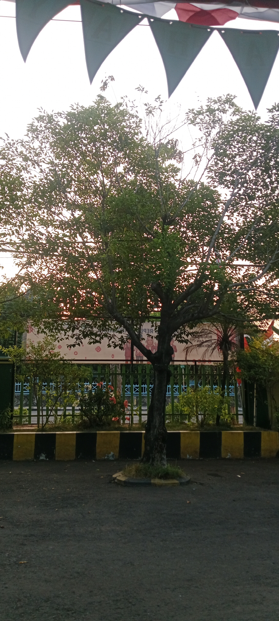 The image depicts a tree in the foreground, with its branches and green leaves spread widely. Behind the tree, a fence can be seen, and beyond that, a banner is displayed. The banner appears to have illustrations of people on it. The scene is set against a background of a pale sky, possibly at dusk or dawn, as suggested by the soft, warm light. In front of the fence, there is a planter with some plants and flowers. The ground in the foreground is asphalt, with a yellow and black striped barrier along the edge of the planter. The overall setting appears to be an outdoor public space, possibly a park or a schoolyard, given the banner and the well-maintained appearance of the greenery. The image is taken from a ground-level perspective, looking towards the banner and the tree. There are no people clearly visible in the image.