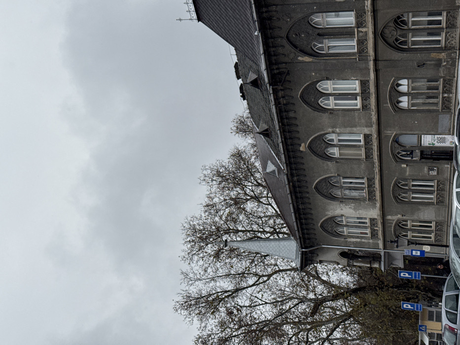 This forensic image captures a two-story, dark grey Gothic Revival building located in Mali Idjos Municipality, Serbia, under a consistently overcast grey sky. The building's facade features numerous white-framed arched windows, some with decorative tracery, across both levels. A prominent, slender grey spire rises from the left corner of the structure. The dark tiled roof includes several small dormer windows and is topped by a cross-shaped finial at its highest point. Behind and to the left of the building, bare deciduous trees with visible branches are present. In the foreground, a street or parking area holds multiple parked vehicles, including a silver sedan, a dark-colored car, and a white vehicle. Blue parking signs with white 'P' symbols and directional arrows, along with an ornate dark streetlamp, are visible. A single individual, clad in dark clothing, is partially observed standing behind a parked car on the lower left side of the frame. No discernible actions or interactions are captured.