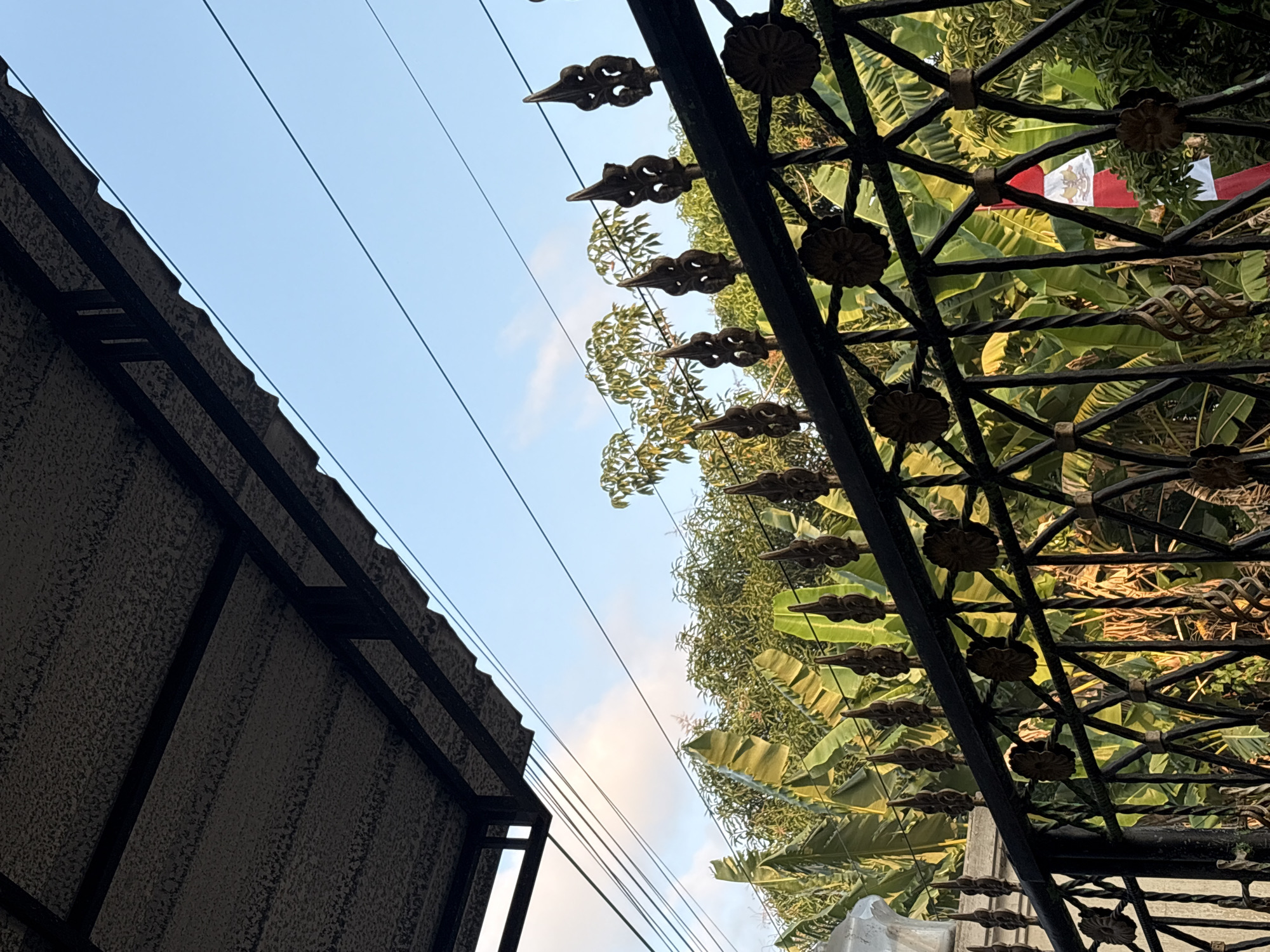 An outdoor shot looks up at the sky from behind a black metal fence. The fence has decorative elements and is adorned with a red and white flag. Beyond the fence are lush green banana leaves and trees. Power lines are visible against the clear blue sky. The foreground is dominated by the textured underside of a dark-colored roof structure and its supporting beams.