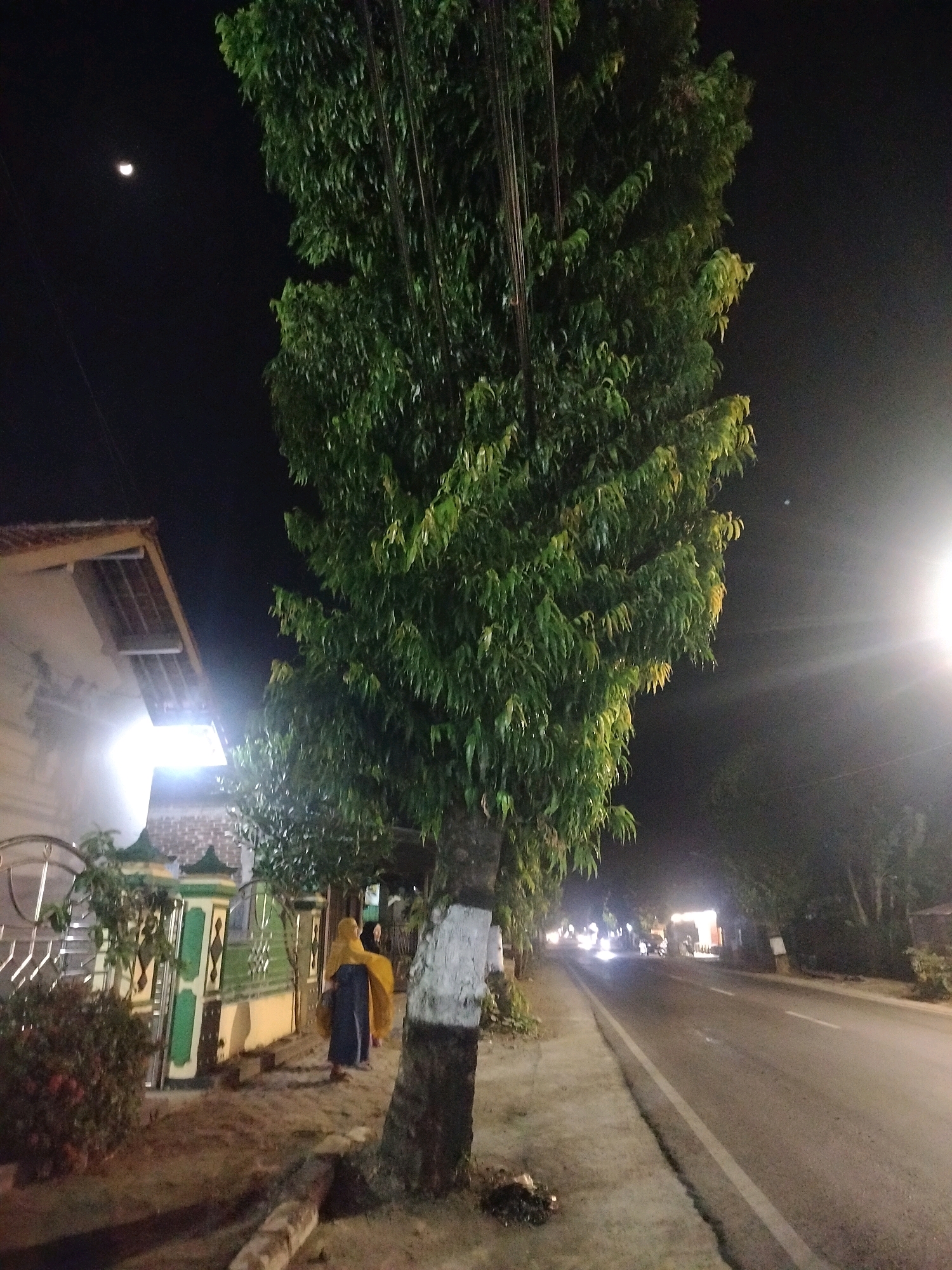 The image captures a nighttime street scene in Kroya, Indonesia. A tall, leafy tree with a white-painted trunk dominates the foreground, leaning towards the right side of the frame. To the left, a house with a tiled roof and a bright light illuminating its facade is visible. A person wearing a yellow hijab and a dark garment is walking away from the camera on a dirt path beside the tree. Further down the path, a decorative green and yellow fence line marks the boundary of a property. The street, paved with asphalt, extends into the distance, with several vehicles visible with their headlights on, suggesting ongoing traffic. The sky is dark, with a faint crescent moon visible in the upper left corner. A streetlamp on the right side of the road casts a bright light, creating lens flare and illuminating the surrounding area. The overall environment appears to be a residential or semi-commercial area within the city.