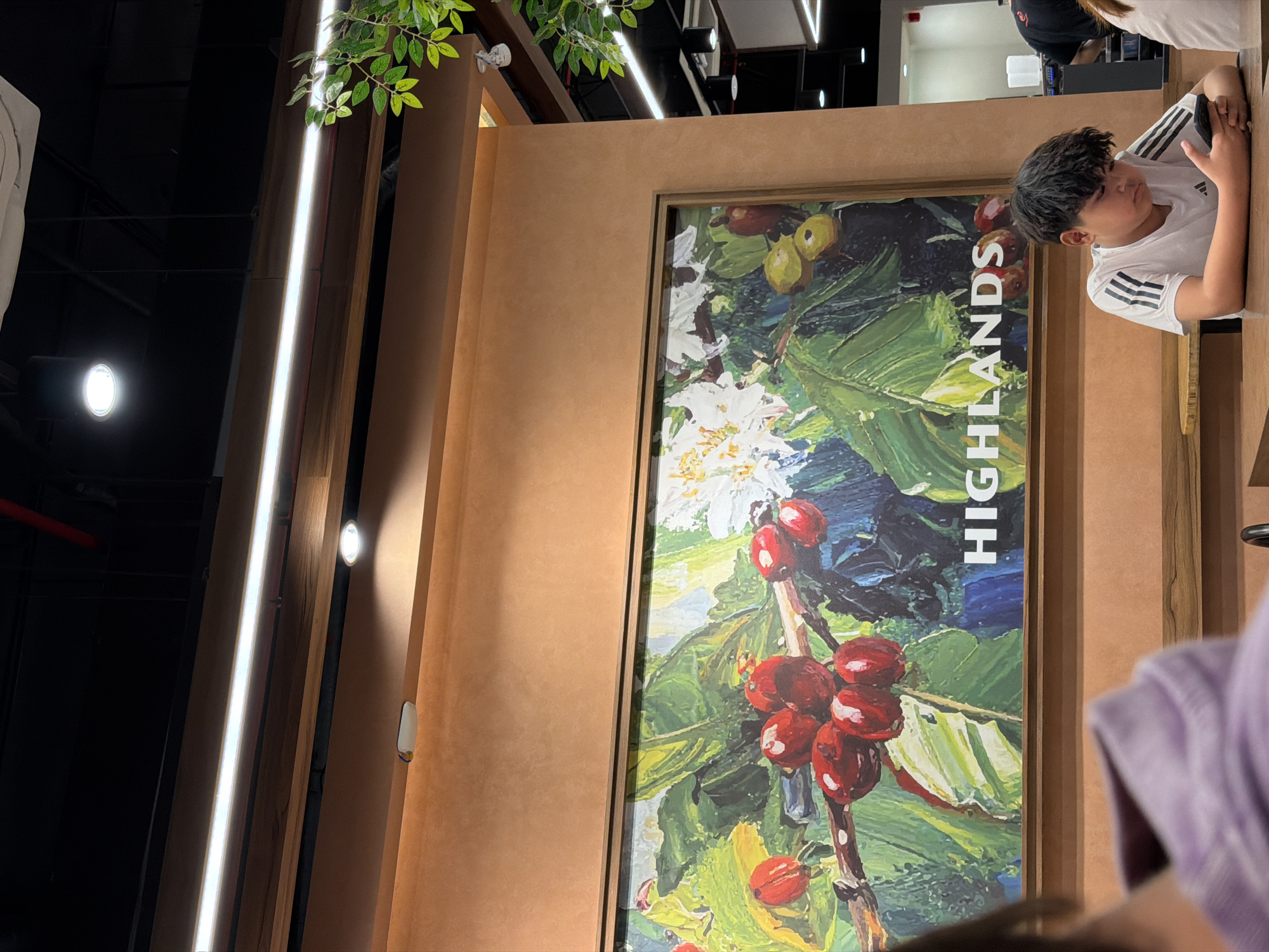 The image shows a young boy in a white t-shirt with black stripes on the sleeves, leaning on a wooden table. He is looking towards the right side of the frame with a thoughtful expression. Behind him, a large framed painting or mural is visible. The painting depicts a close-up of coffee cherries on a branch, with vibrant red cherries and green leaves, set against a background of blues and greens. The text "HIGHLANDS" is prominently displayed vertically on the right side of the painting.
The setting appears to be indoors, possibly a cafe or a retail space, given the modern lighting fixtures and wooden interior elements. There's a hint of greenery from artificial plants at the top left, suggesting an attempt to bring nature into the indoor environment. The lighting is bright and somewhat artificial, with long fluorescent lights illuminating the scene. The overall atmosphere seems relaxed and casual. The location context of Đà Nẵng, Vietnam, might suggest this is a branch of a local coffee chain or a place with a focus on coffee culture. The boy's attire and the general ambiance do not strongly indicate a specific time of day or weather conditions, but the indoor setting implies it's not an outdoor scene.