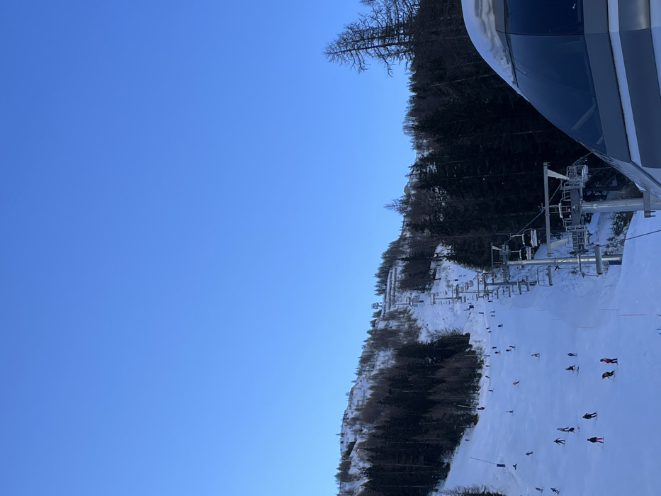 This image captures a vibrant winter scene at a ski resort, likely in Courmayeur, Italy. The sky is a clear, brilliant blue, indicating excellent weather conditions.
In the foreground, the frame is partially filled on the right by the sleek, modern design of a ski lift gondola or cabin, suggesting the photograph was taken from within or immediately adjacent to one. Extending down the slope from this point, a series of ski lift pylons and empty chairs are visible, part of the resort's transport system.
Below and to the left, a wide, groomed ski slope blanketed in white snow dominates the lower half of the scene. Numerous skiers are dispersed across the slope, engaged in various activities. Some are actively skiing down, while others appear to be standing, resting, or observing. Their colorful ski apparel adds small points of contrast against the pristine snow.
The ski slope is bordered on its left by a mountainside densely covered with trees. A mix of dark evergreen trees and some bare deciduous trees are visible, extending up the incline. The overall impression is one of a busy and well-maintained ski area under clear skies, likely during the daytime. No visible text is discernible in the image.
