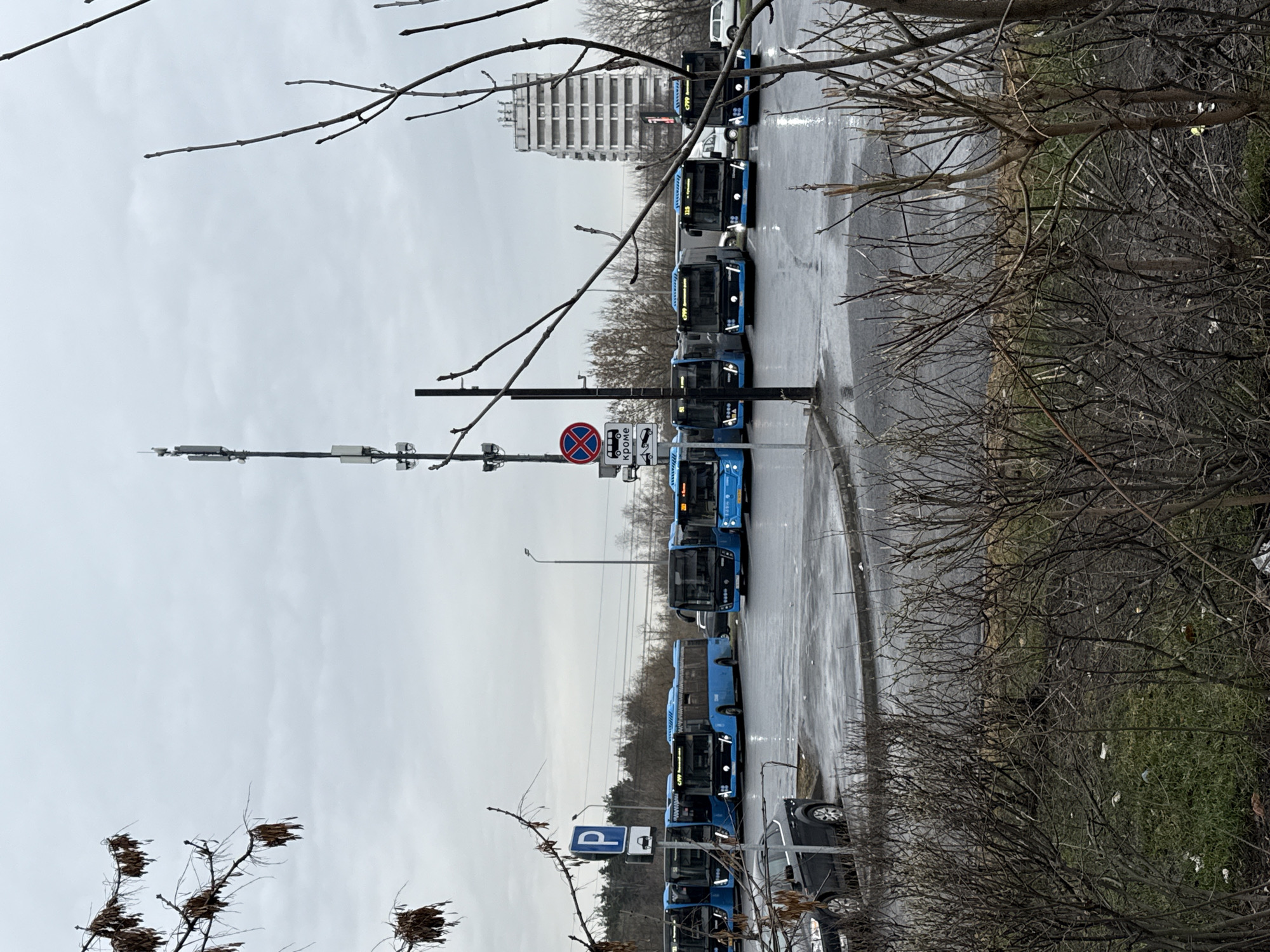 The image depicts a row of blue public transit buses parked on a wet city street in Moscow, Russia. The buses are lined up along the curb, next to a sidewalk with a "No Stopping Except Buses" sign in Russian. In the background, a tall, nondescript office building is visible. The foreground is obscured by bare tree branches. The sky is overcast. Other signs are also visible, including a Parking sign.
