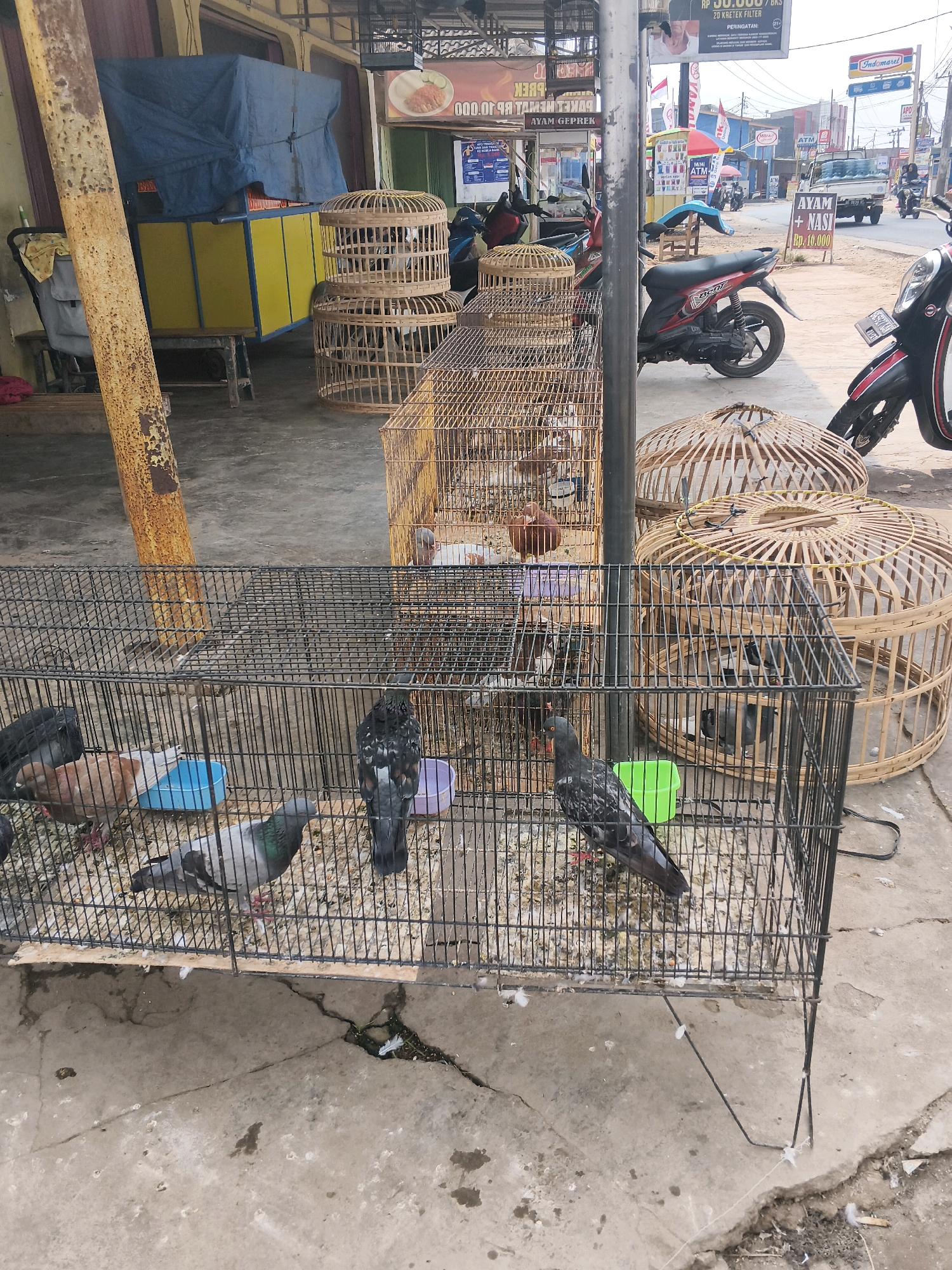 In the city of Jati Indah, Indonesia, a street scene unfolds with a focus on a bird market. In the foreground, a black metal cage holds several pigeons. One pigeon, predominantly grey with black speckles and white wing markings, stands prominently, facing right. To its left, a darker pigeon with black and grey plumage is visible, and further left, another pigeon with brown and grey feathers stands near a blue feeding dish. Behind this cage, a larger, yellow and blue structure stands, partially covered by a blue tarp, suggesting a shop or stall. Several woven bamboo birdcages, some stacked, are positioned around the area. In the mid-ground, a red motorcycle is parked. The background reveals more of the street with other vehicles, buildings, and advertisements, including a sign for "AYAM + NASI" (Chicken + Rice) for Rp. 10.000. The ground is a cracked concrete surface, scattered with debris.