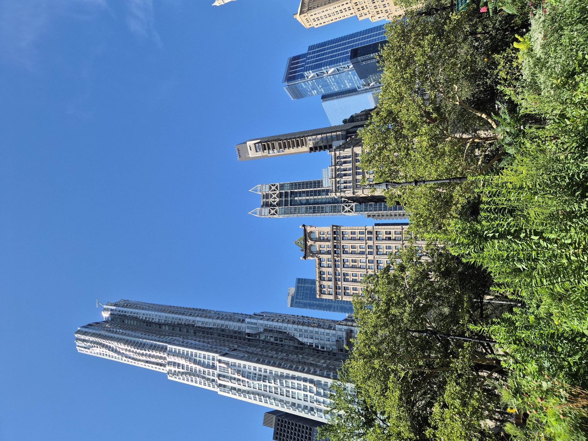 The image captures a view of the Financial District in New York City. In the foreground, lush green trees and foliage create a natural boundary, partially obscuring the view of the urban landscape beyond. A variety of plants, including tall green stalks and leafy bushes, are visible. In the midground, a black lamppost stands amidst the greenery.
Dominating the background are several modern skyscrapers, characterized by their sleek designs and glass facades. The most prominent skyscraper on the left features a unique, undulating architectural style with a multitude of windows. Other buildings exhibit varied designs, including a structure with a distinctive cross-hatch pattern and a tall, slender building with balconies. The sky above is a clear, vibrant blue. The scene appears to be captured on a sunny day.