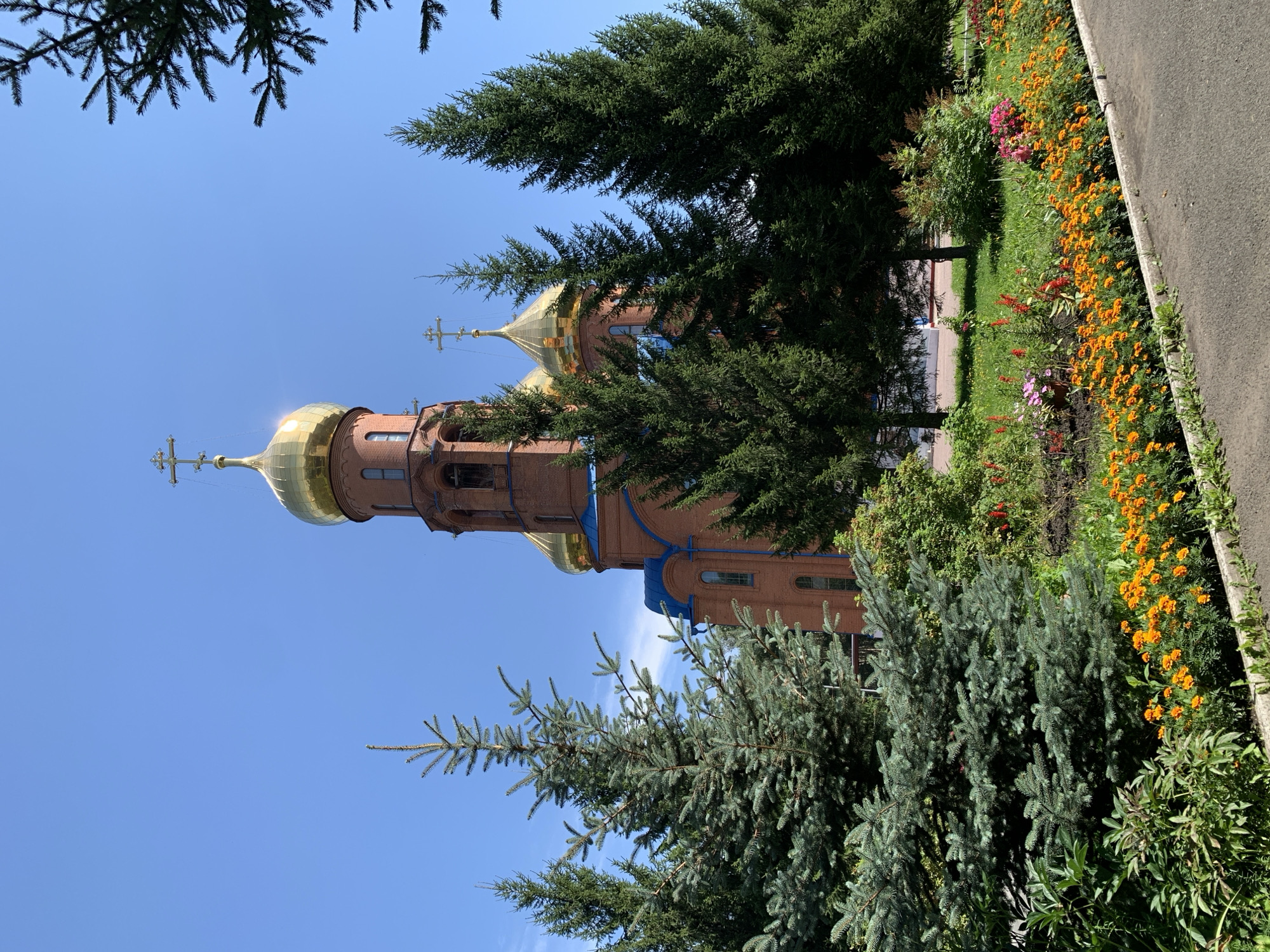 The image captures a bright, sunny day with a clear blue sky. In the center, a red brick church with golden domes stands tall. The main dome is the largest and features a cross, while a smaller dome, also topped with a cross, is visible behind it. The church has blue trim around its roofline. In the foreground, a line of vibrant orange marigolds stretches across the frame, bordered by a gray concrete path and asphalt road. Evergreen trees, including what appears to be a blue spruce in the left foreground, are scattered throughout the scene, framing the church and adding depth. The church is identified as the Church of the Resurrection in Prokopyevsk, Russia.