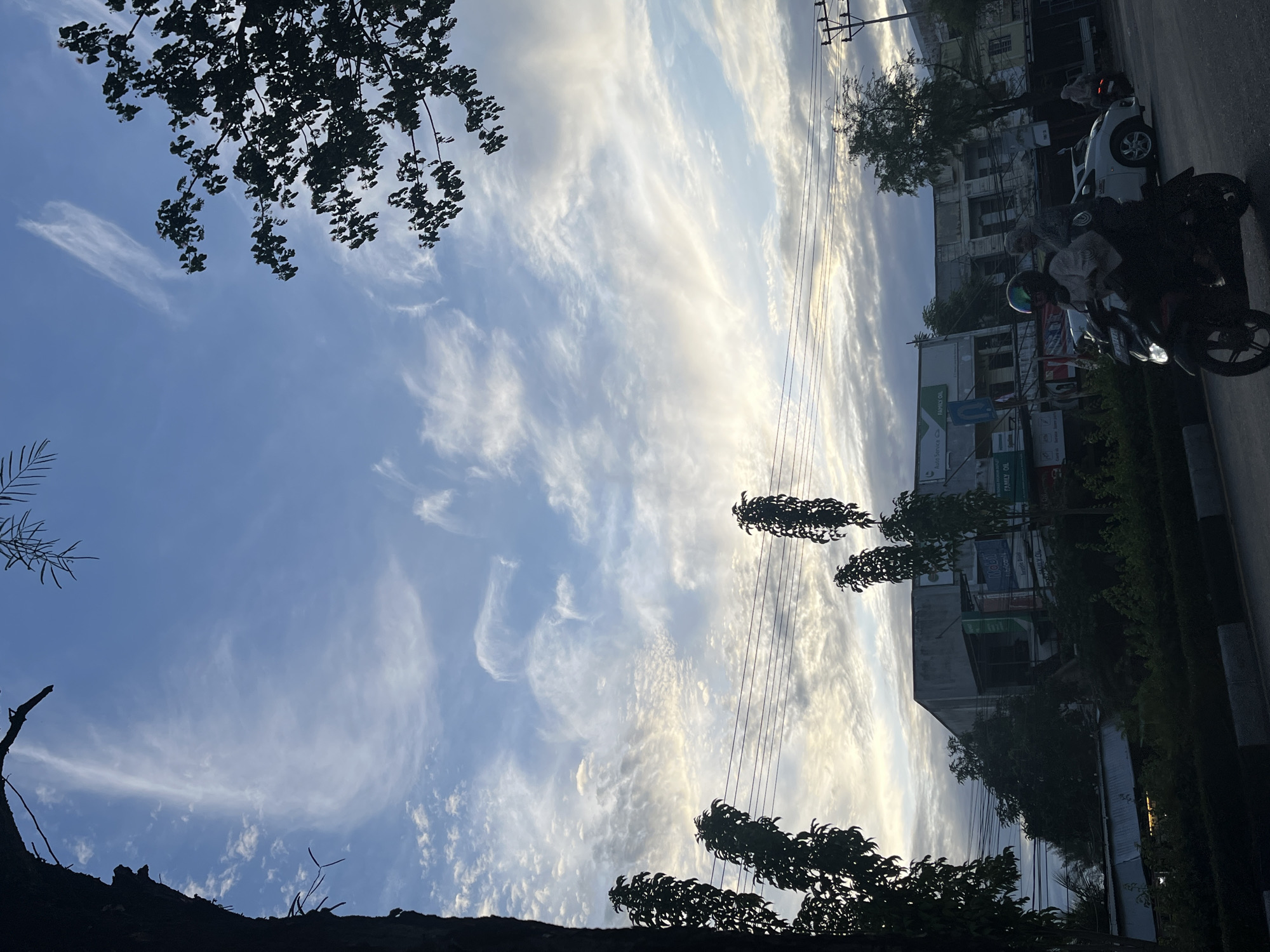 In Banda Aceh, Indonesia, a street scene unfolds under a sky filled with wispy clouds. A dark tree trunk occupies the left edge of the frame, silhouetted against the pale blue sky. To the right, a tree branch with dark leaves extends from the upper right corner, also silhouetted.
In the mid-ground, several tall, slender trees with dark foliage are spaced apart, with power lines running horizontally behind them. Behind these trees, the facade of a row of buildings is visible. The buildings appear to be commercial establishments, with some signage visible, though the text is largely illegible. One sign appears to read "Mobi."
In the foreground, a road is visible, with a concrete barrier on the left side. A motorcycle with two occupants is in motion on the road, heading towards the right. The rider wears a helmet with a iridescent sheen. A white car is parked or moving slowly behind the motorcycle. Further to the right, another motorcycle and its rider are partially visible. The overall lighting suggests it may be early morning or late afternoon, with a soft, diffused light.
