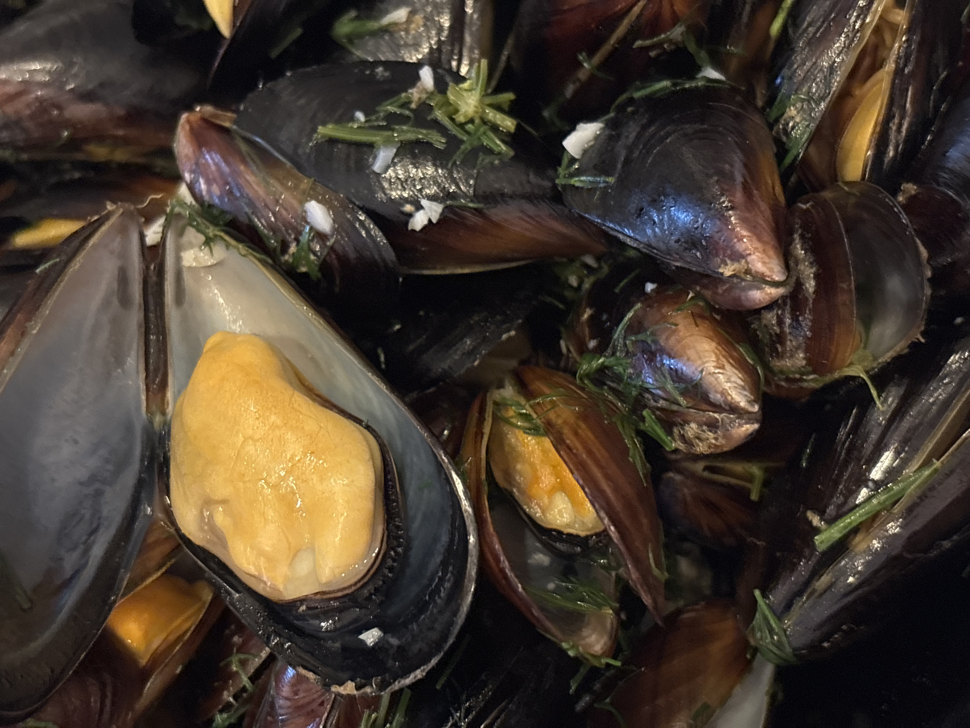 A close-up, overhead shot showcases a pile of freshly cooked mussels, glistening and some partially open, revealing their tender, yellow flesh. The mussels are interspersed with finely chopped green herbs, likely for garnish and flavor. The shells are a mix of deep blues, purples, and browns, with some showing a subtle sheen from the cooking liquid. The overall presentation suggests a delicious and savory dish, ready to be enjoyed. The image appears to be taken indoors, likely in a kitchen or restaurant setting, though no specific environmental details are visible.