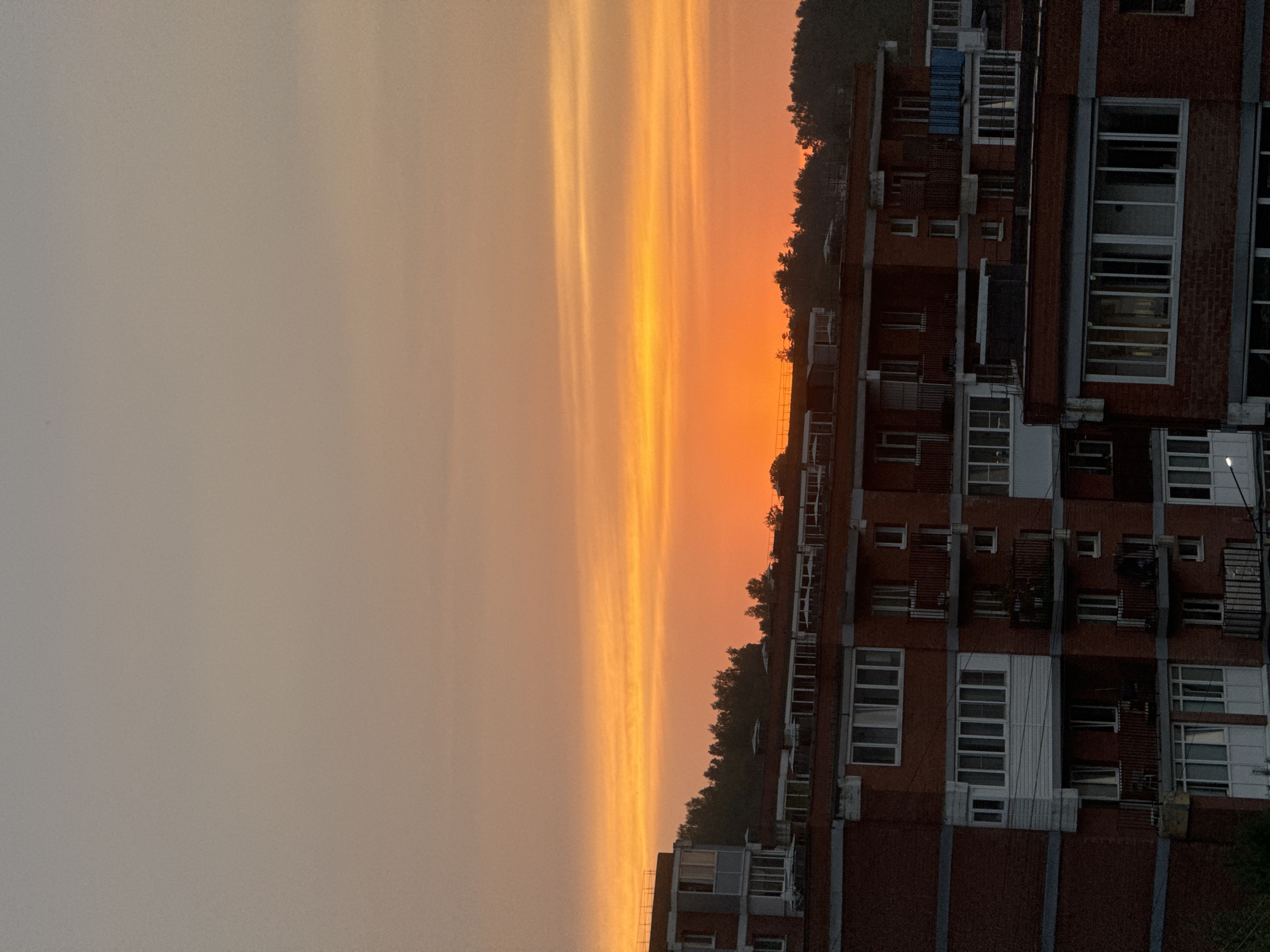 The image captures a twilight view of buildings in Markova, Russia, set against a dramatic sunset sky. The sky is a gradient of warm colors, transitioning from a pale orange at the top to a vibrant, intense orange closer to the horizon. Streaks of clouds are visible, catching the sunset light.
In the foreground, several multi-story apartment buildings constructed with red brick are prominent. These buildings feature numerous windows and balconies, some of which are enclosed with glass. The architectural style suggests a residential area. A dark line of trees runs along the horizon behind the buildings, forming a silhouette against the colorful sky. The lighting suggests it is either dusk or dawn, with the setting or rising sun casting a warm glow over the scene. No people are visible in the image, and the scene appears to be a static urban landscape at a specific time of day.
