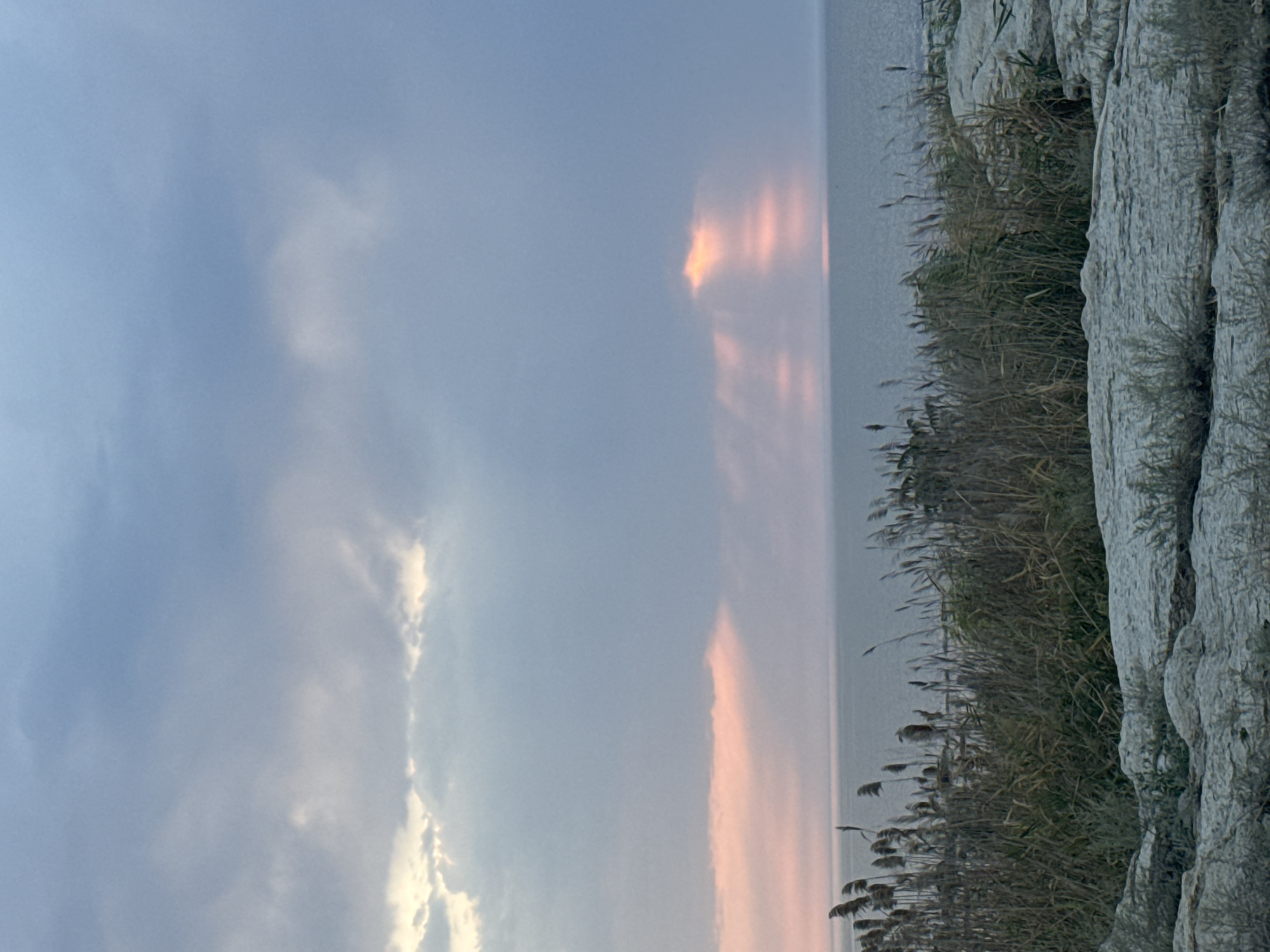 A serene coastal scene unfolds under a cloudy sky. In the foreground, weathered grey rocks are partially covered by dry, tall grasses and reeds. Beyond the vegetation, a calm sea stretches out to the horizon, reflecting the muted light of the sky. Rays of light pierce through the clouds, illuminating sections of the sea with a warm, pinkish glow. The sky itself is a blend of soft blues and greys, with lighter patches where the sun attempts to break through. The overall atmosphere is peaceful and natural, indicative of an undeveloped coastline. This scene is consistent with the natural coastline found near the city of Aktau, Kazakhstan, where the Caspian Sea meets the land with rocky shores and sparse vegetation.
