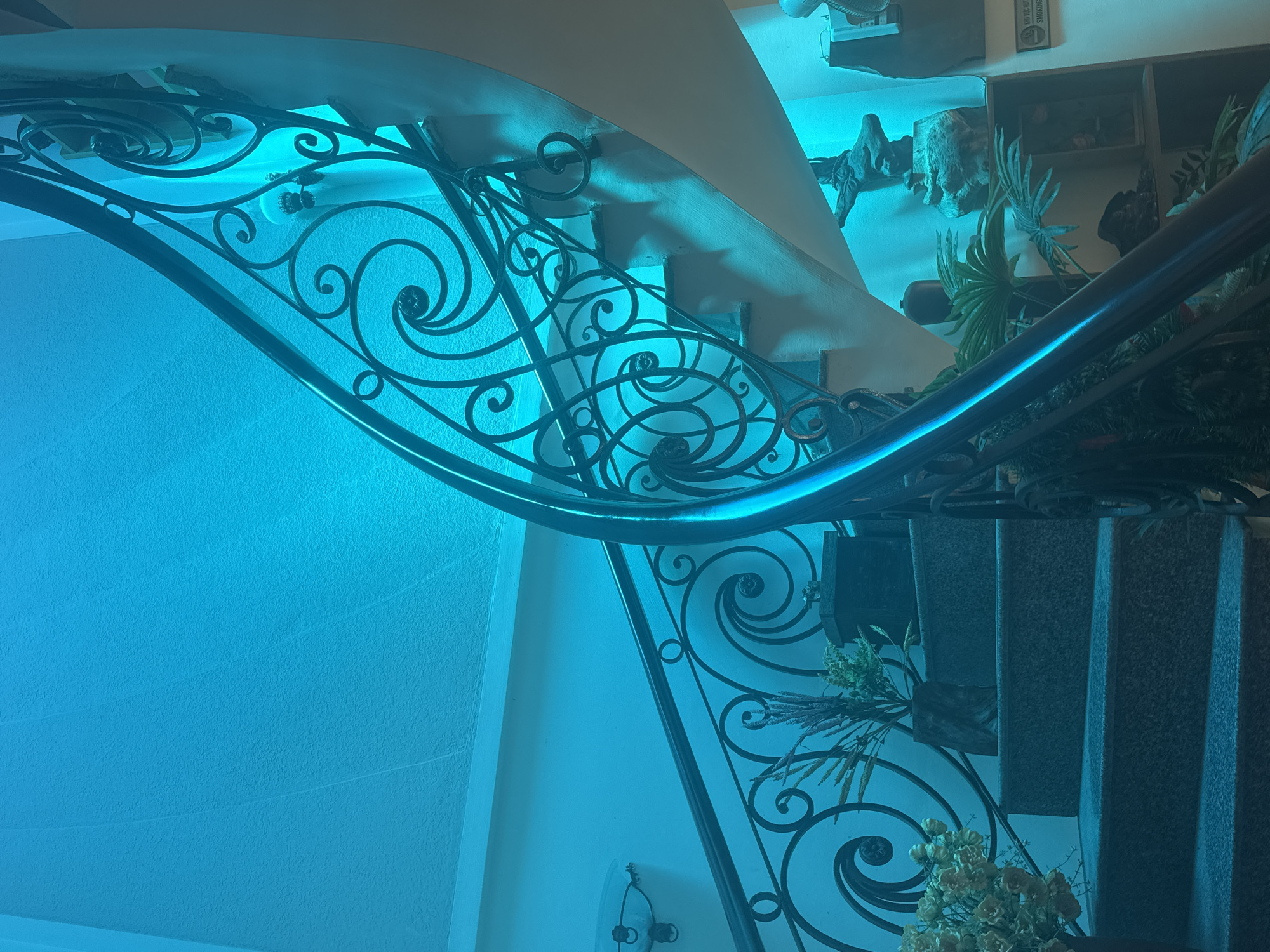 This is a photograph of a spiral staircase illuminated by blue lighting. The staircase features a dark metal railing with ornate scrollwork. The steps appear to be made of dark, speckled stone. Several plants and decorative objects are visible on the steps and surrounding shelves, including what looks like a bust or statue on a higher shelf. The walls are painted a light color and have a textured finish. The lighting casts long shadows, creating a dramatic effect. The scene is indoors, likely in a residential or commercial building. There are no people visible in the image. The location is specified as Bac Nha Trang Ward, Vietnam, but this specific context cannot be visually confirmed from the image itself.